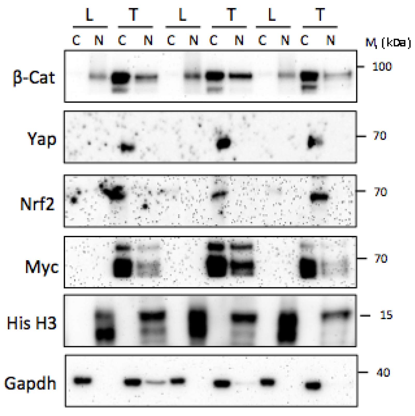Preprints 184222 g002
