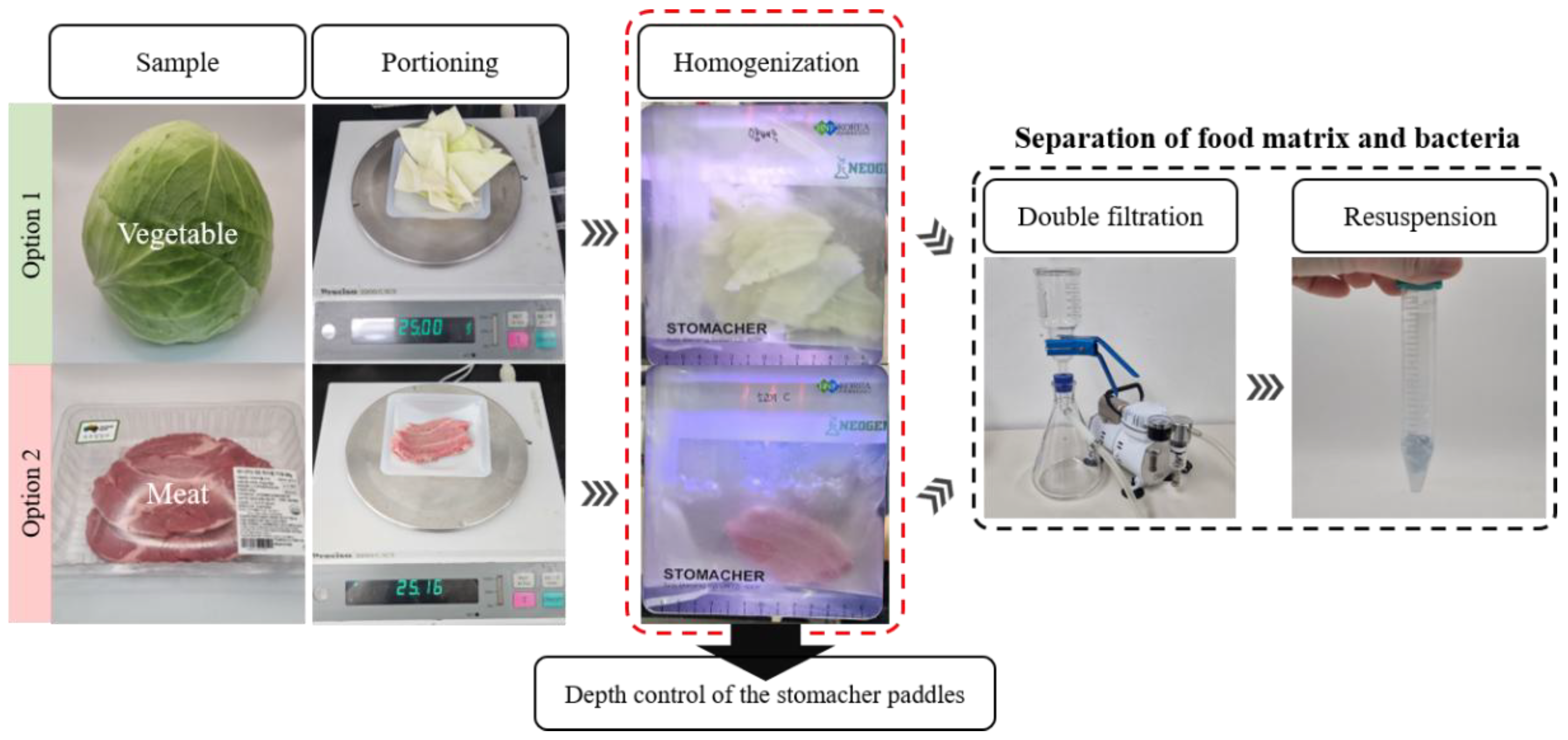 Preprints 172443 g001