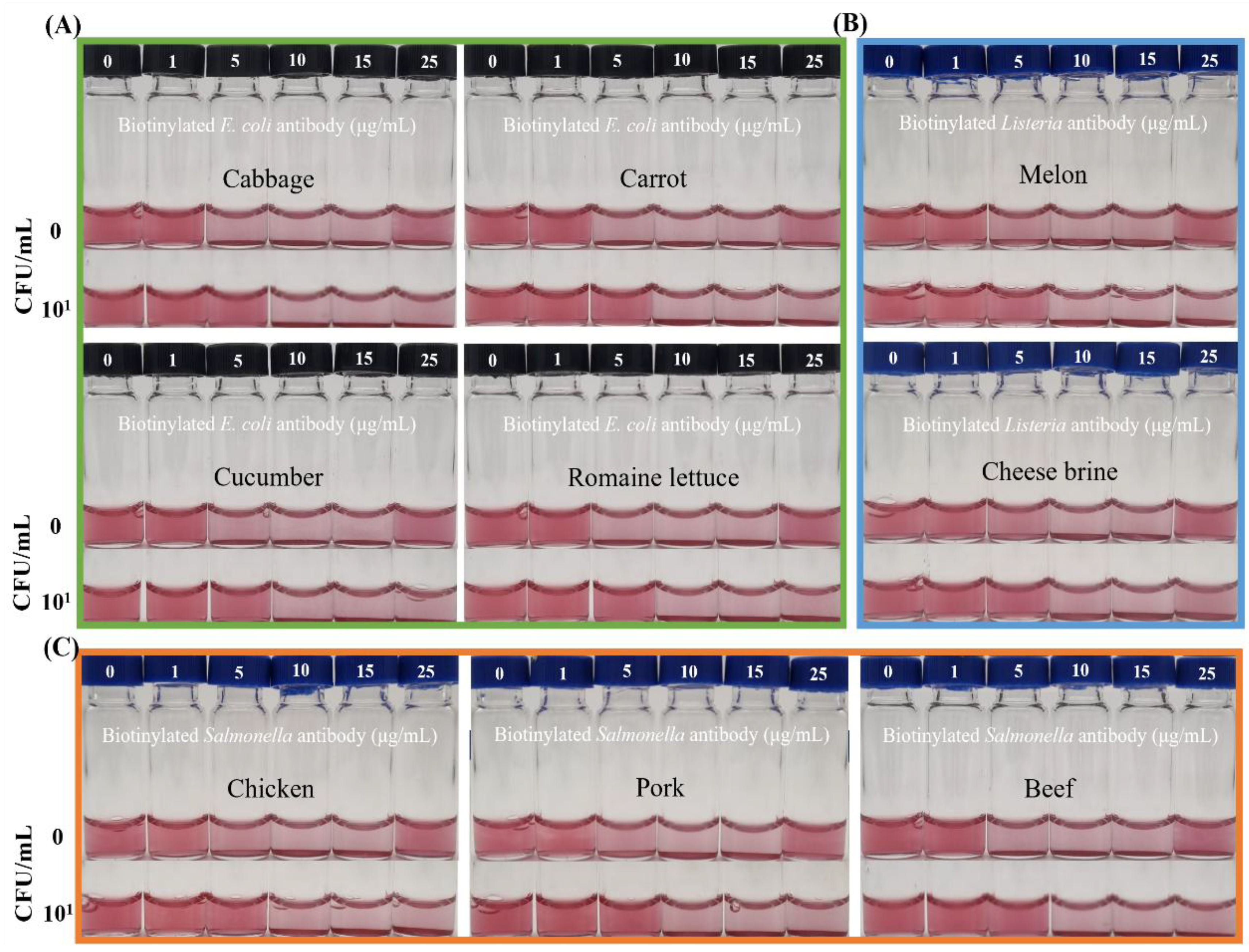 Preprints 172443 g005