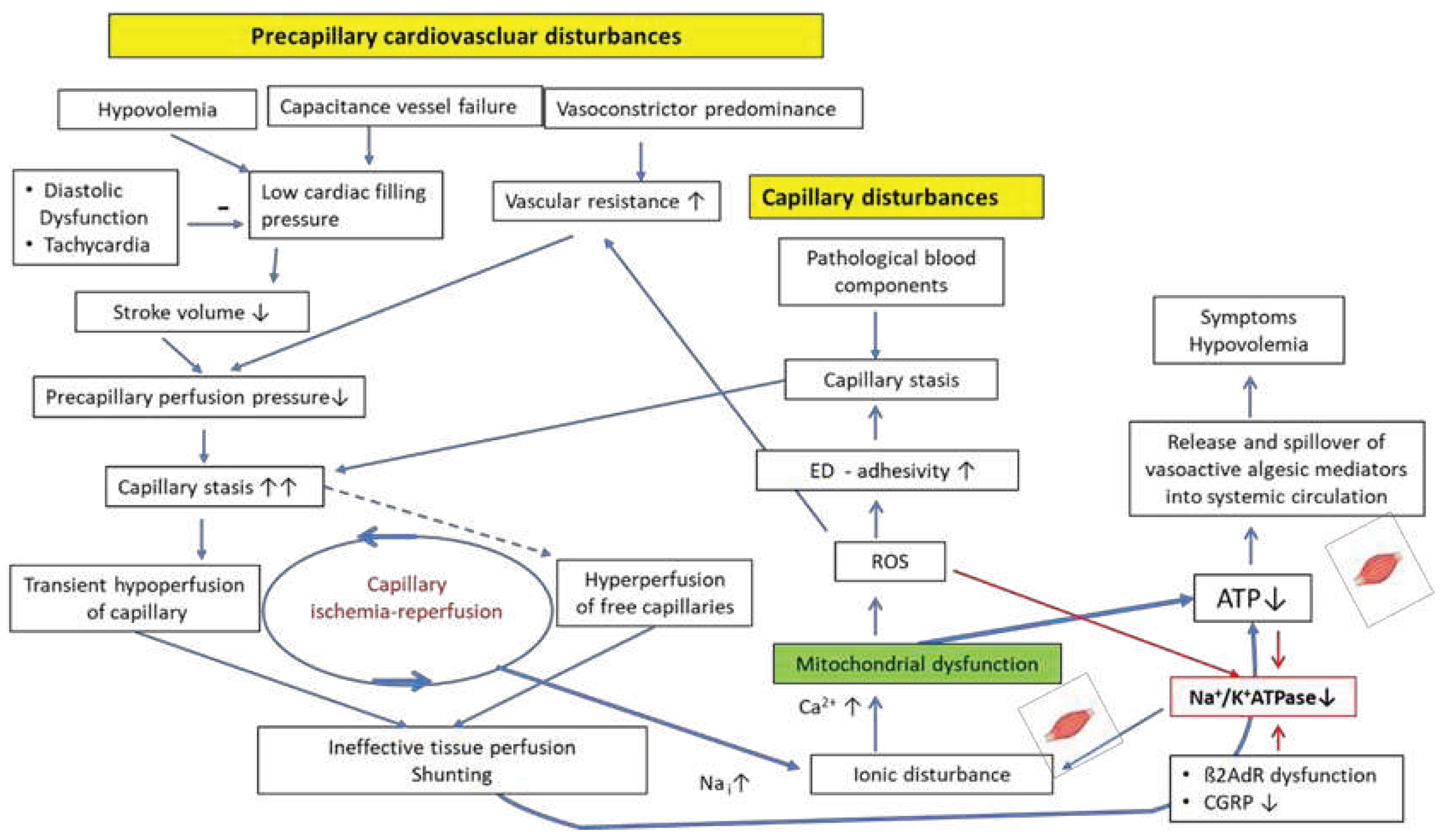 Preprints 92731 g002