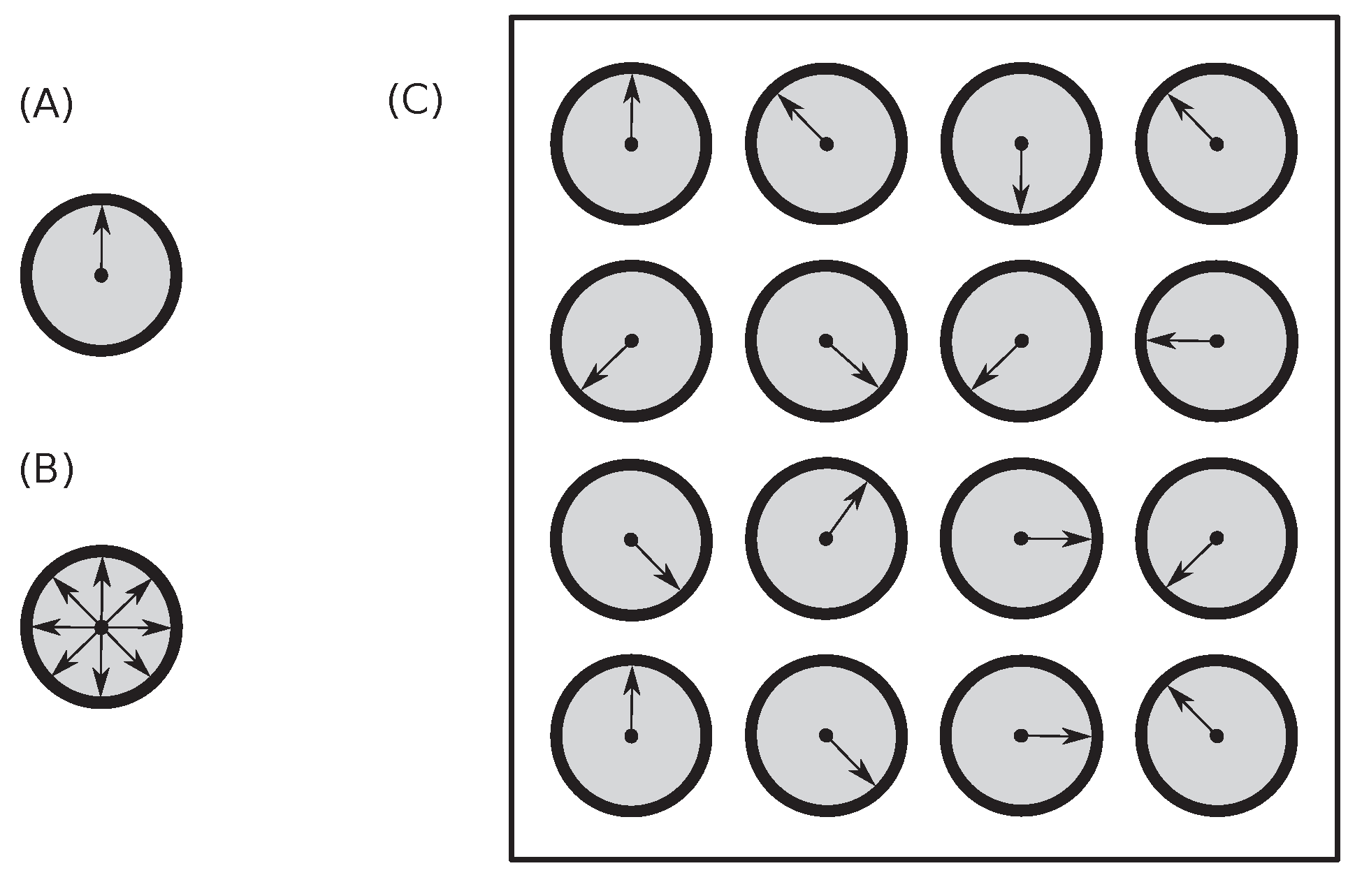 Preprints 174593 g003