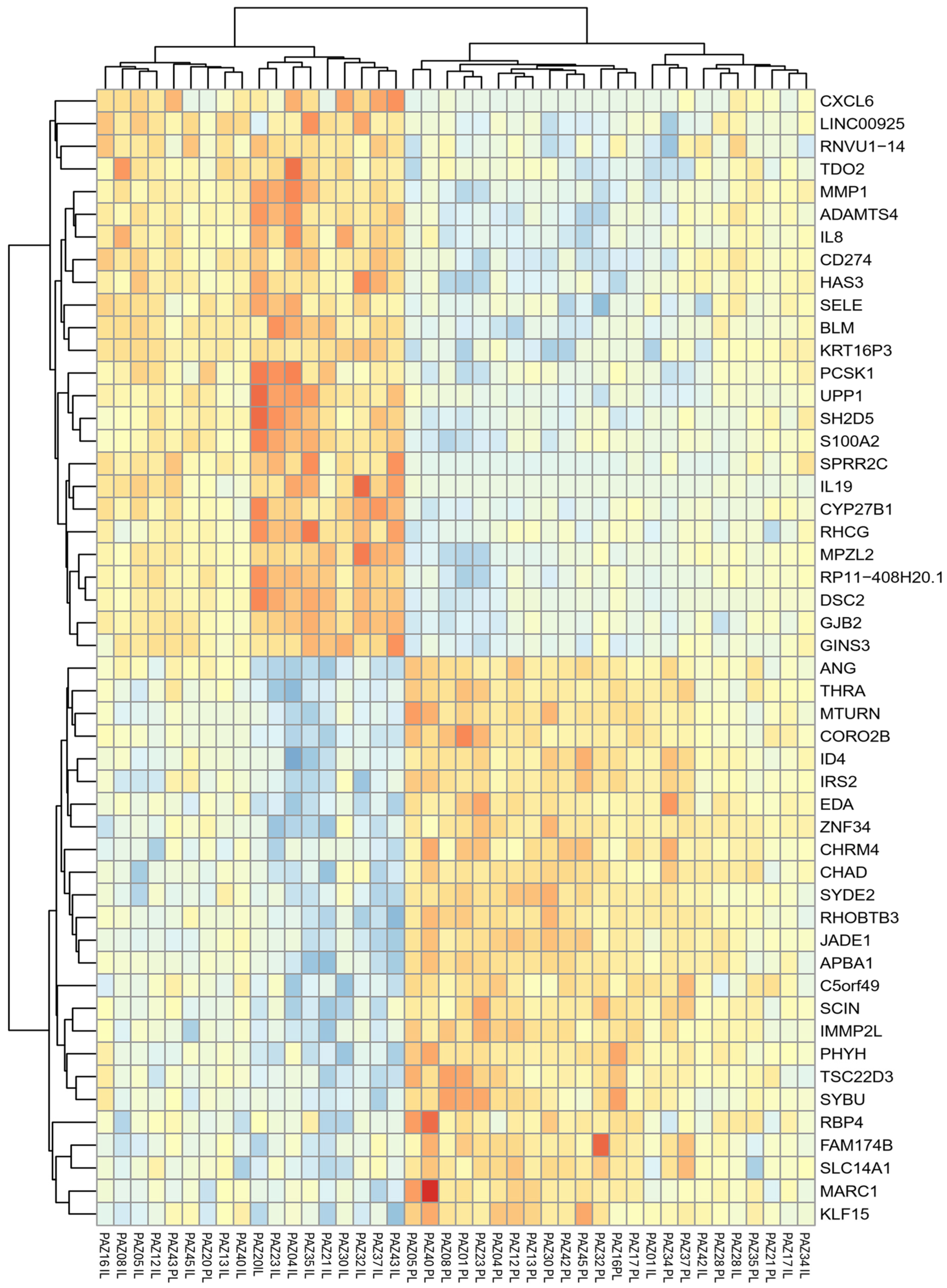 Preprints 159196 g003