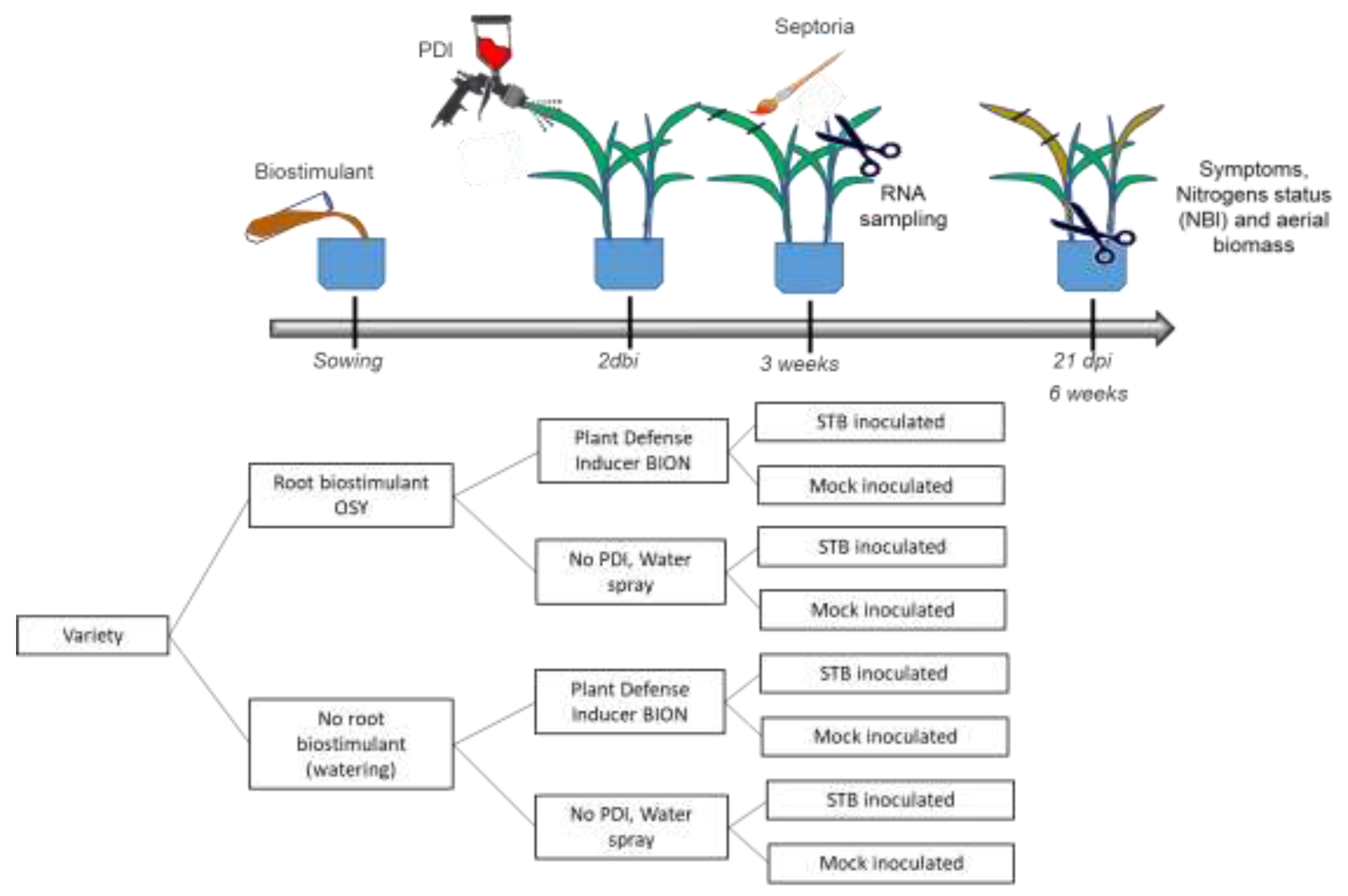 Preprints 200982 g001