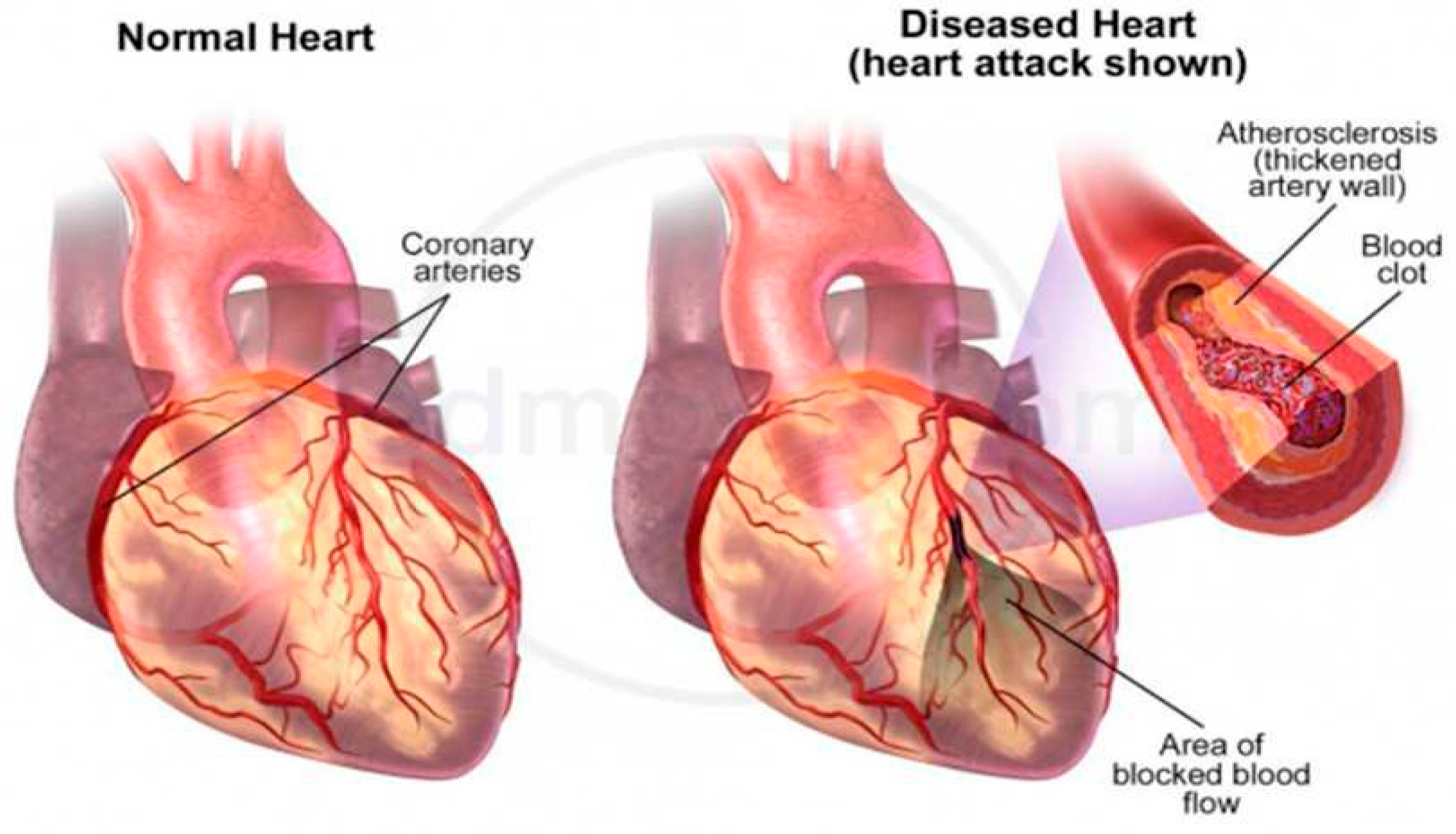 Preprints 185352 g001