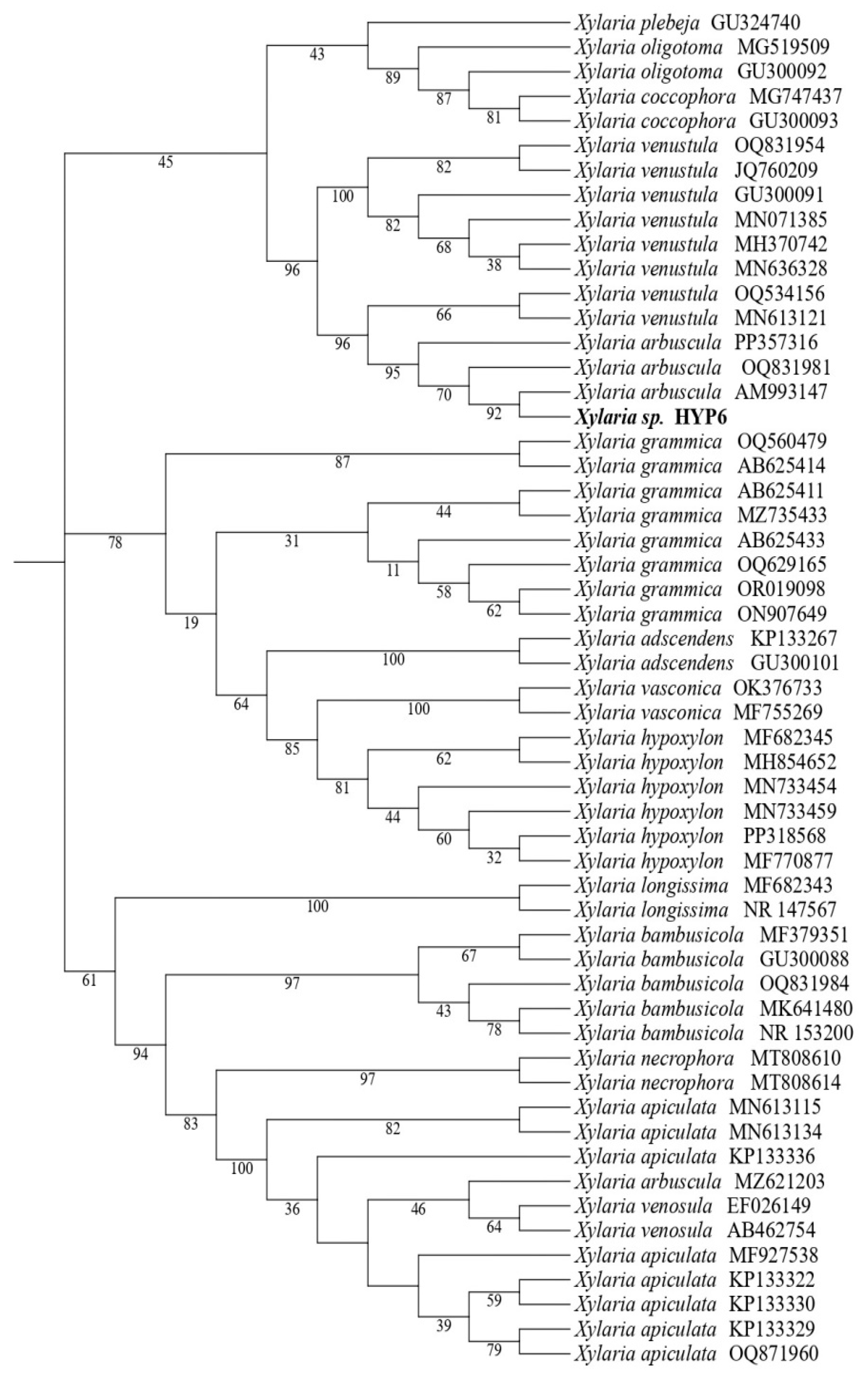 Preprints 138808 g001