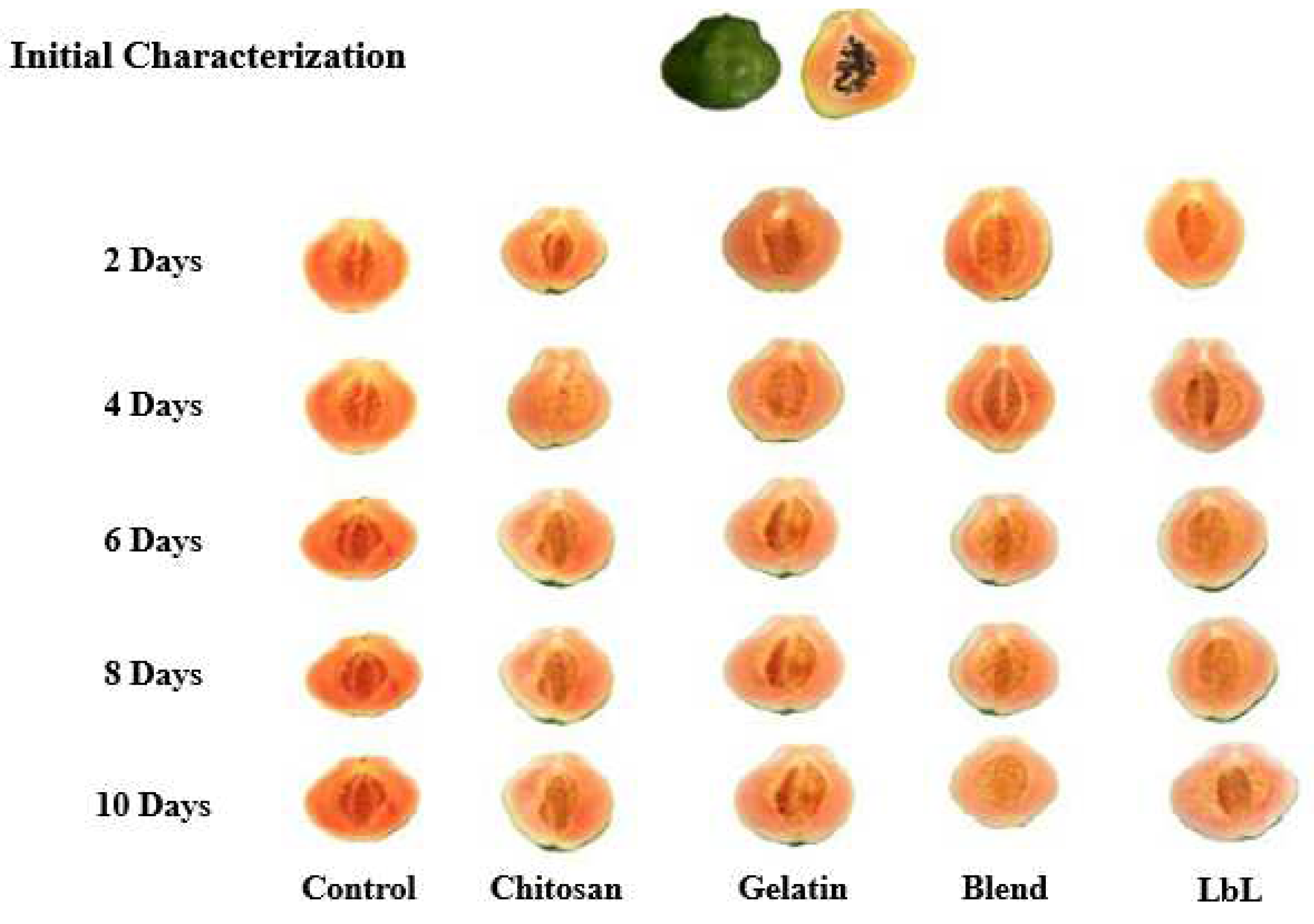 Preprints 73549 g001