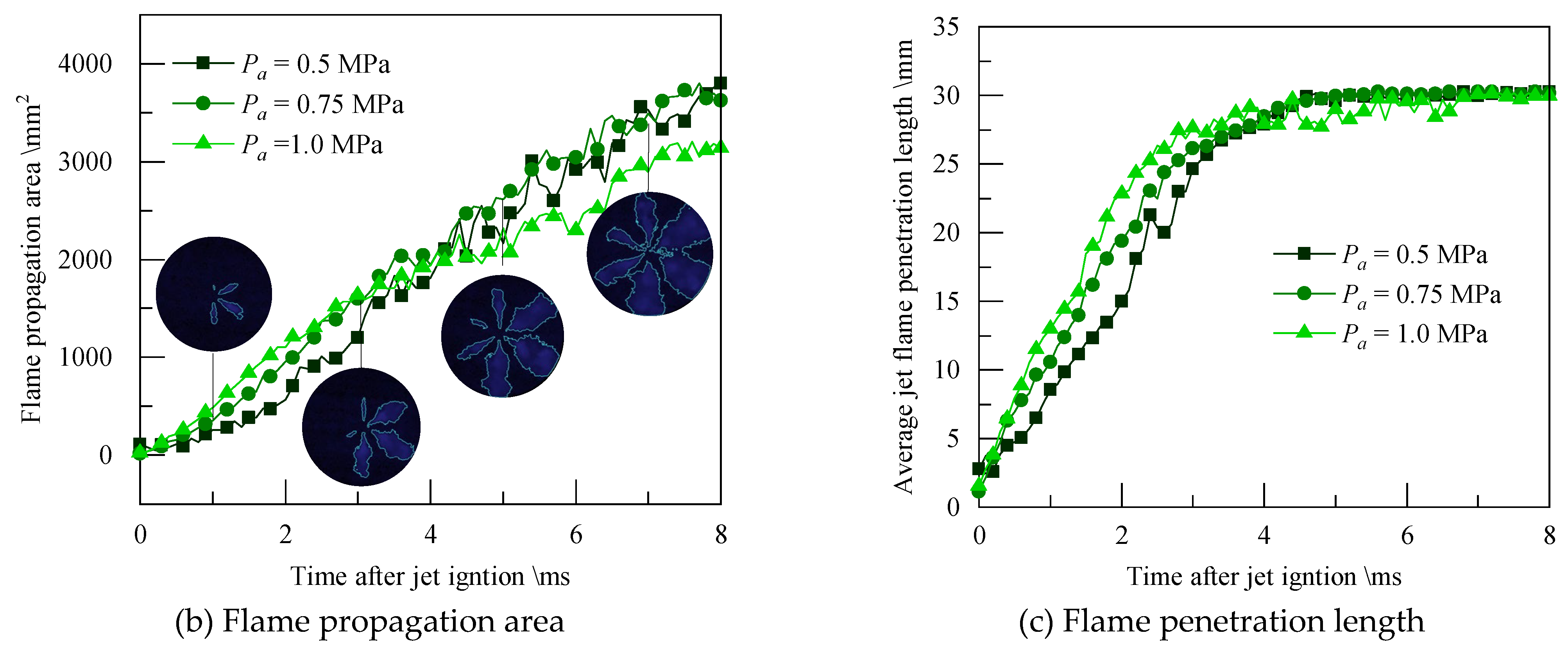 Preprints 107319 g012b