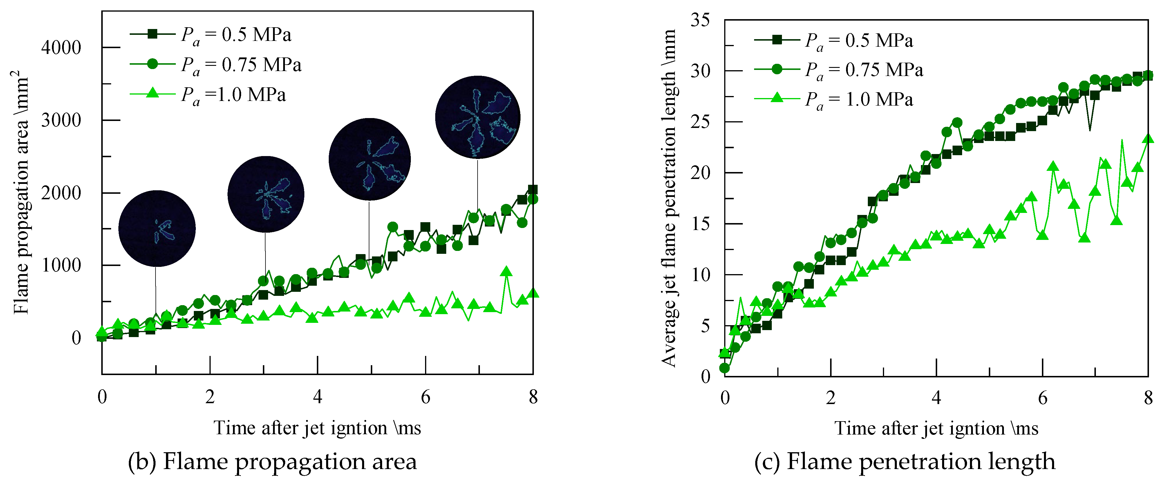 Preprints 107319 g013b