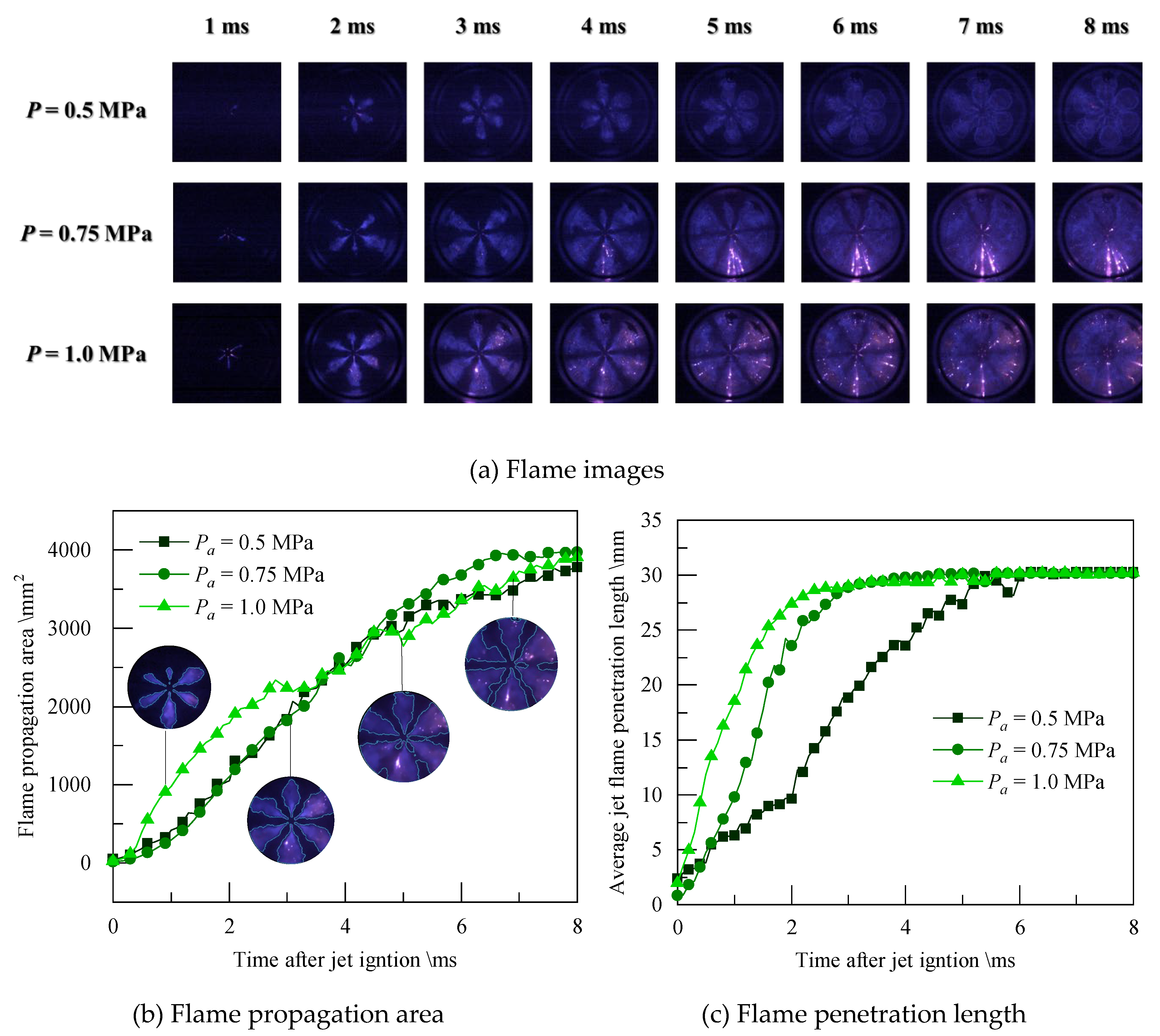 Preprints 107319 g015