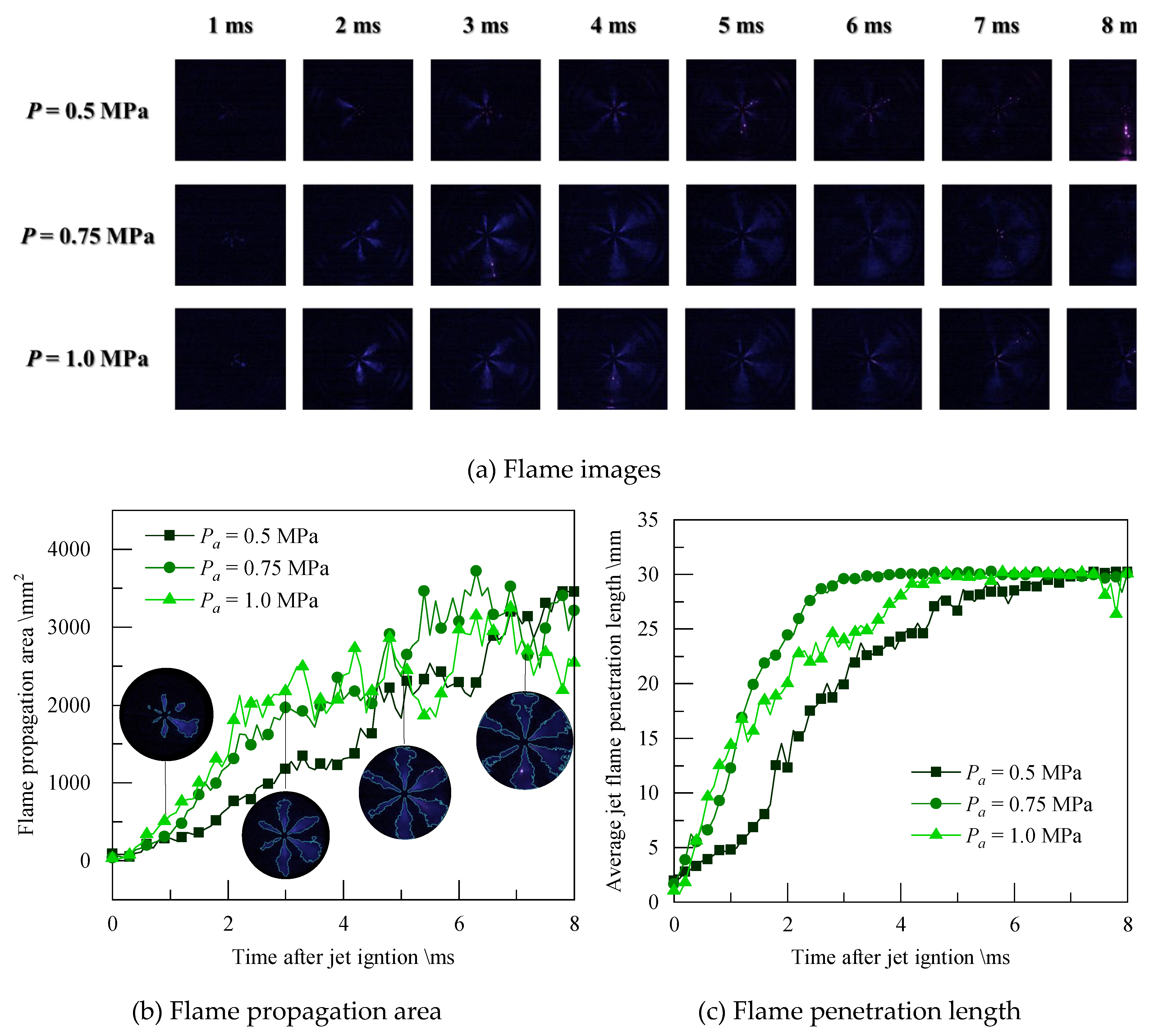 Preprints 107319 g016