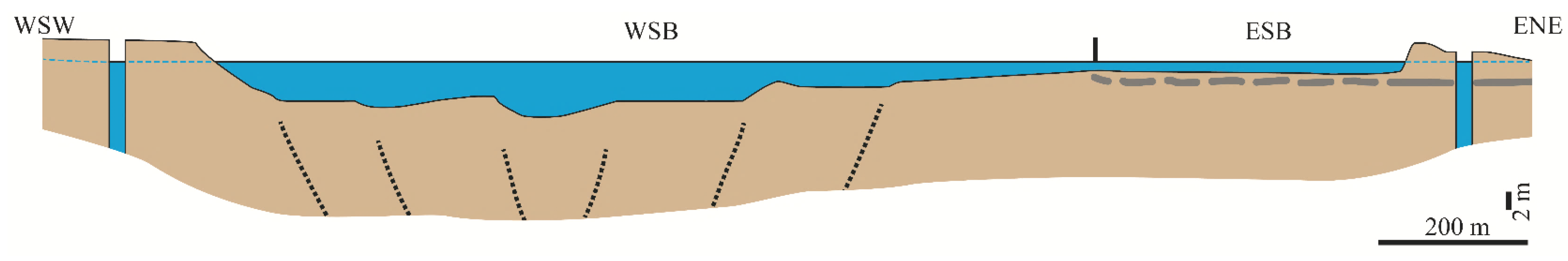 Preprints 194829 g004