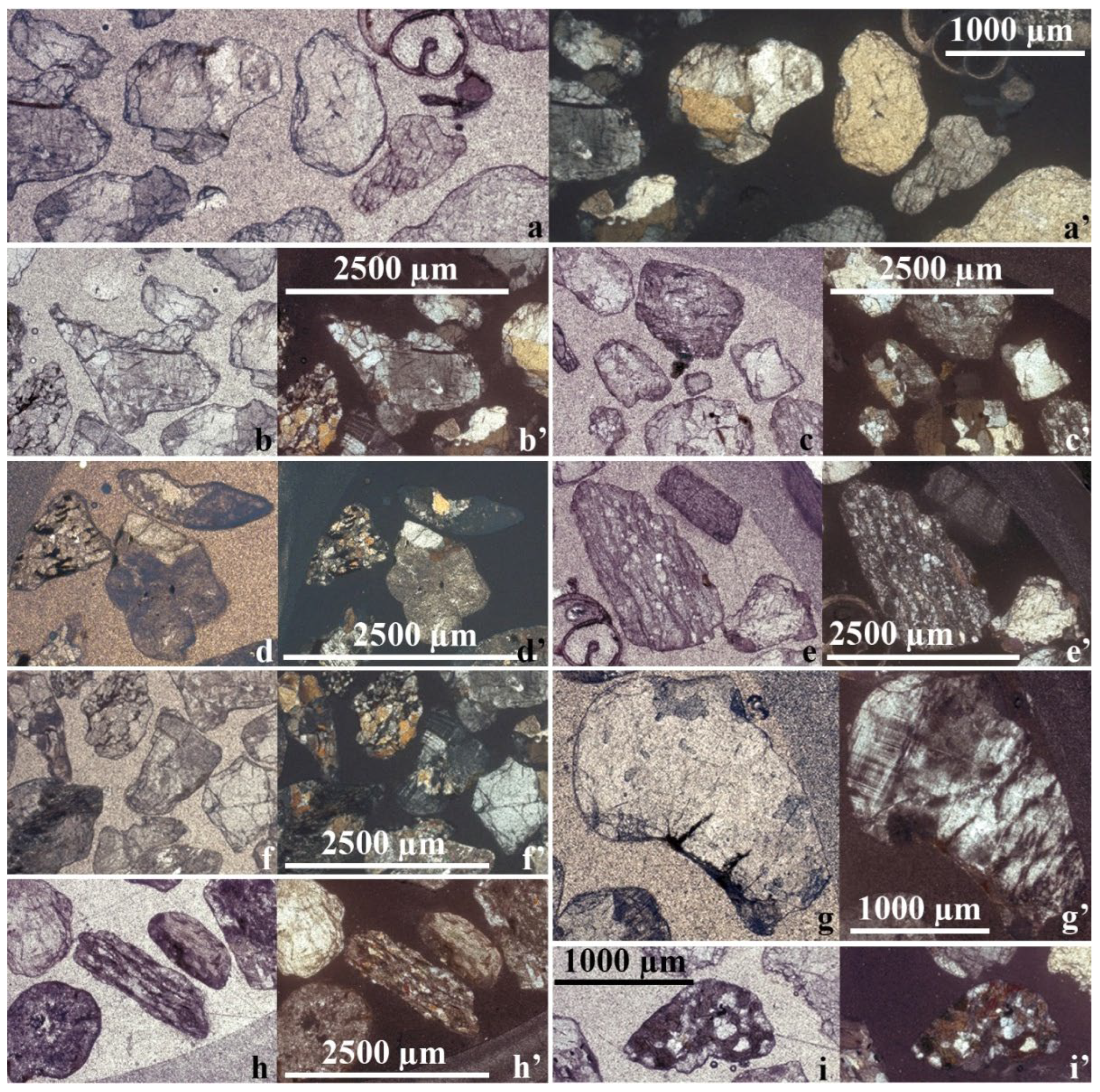 Preprints 194829 g013