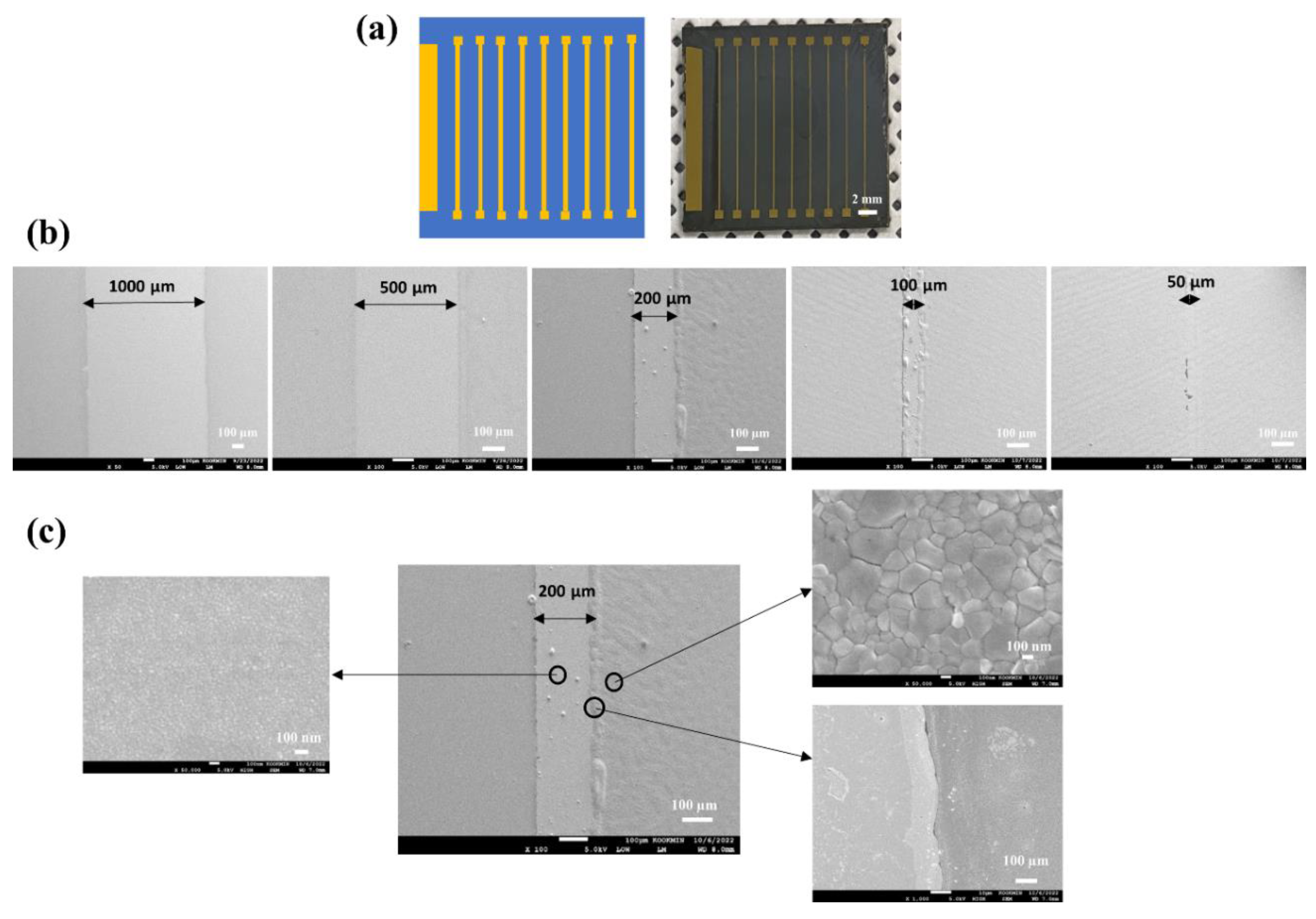 Preprints 96753 g005