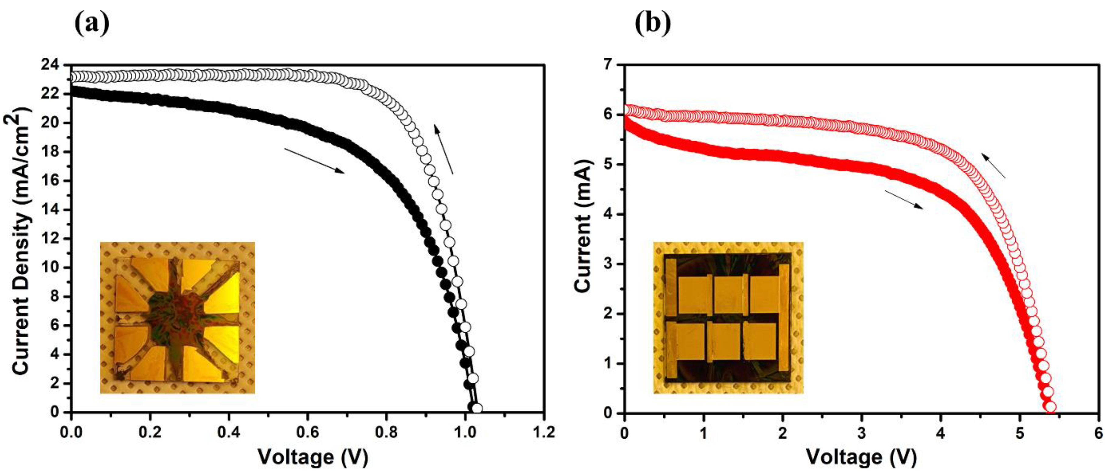 Preprints 96753 g006