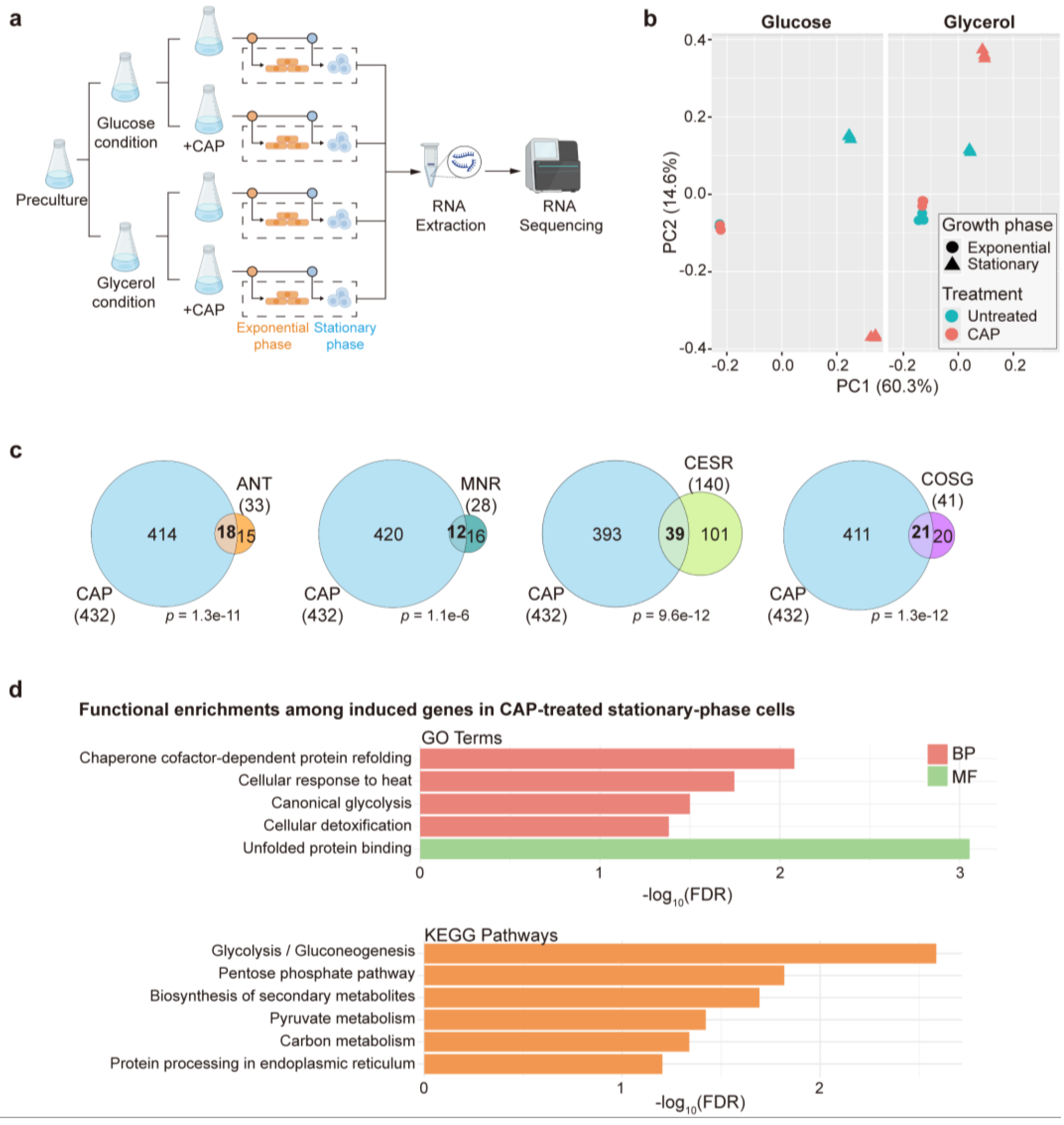 Preprints 172365 g001