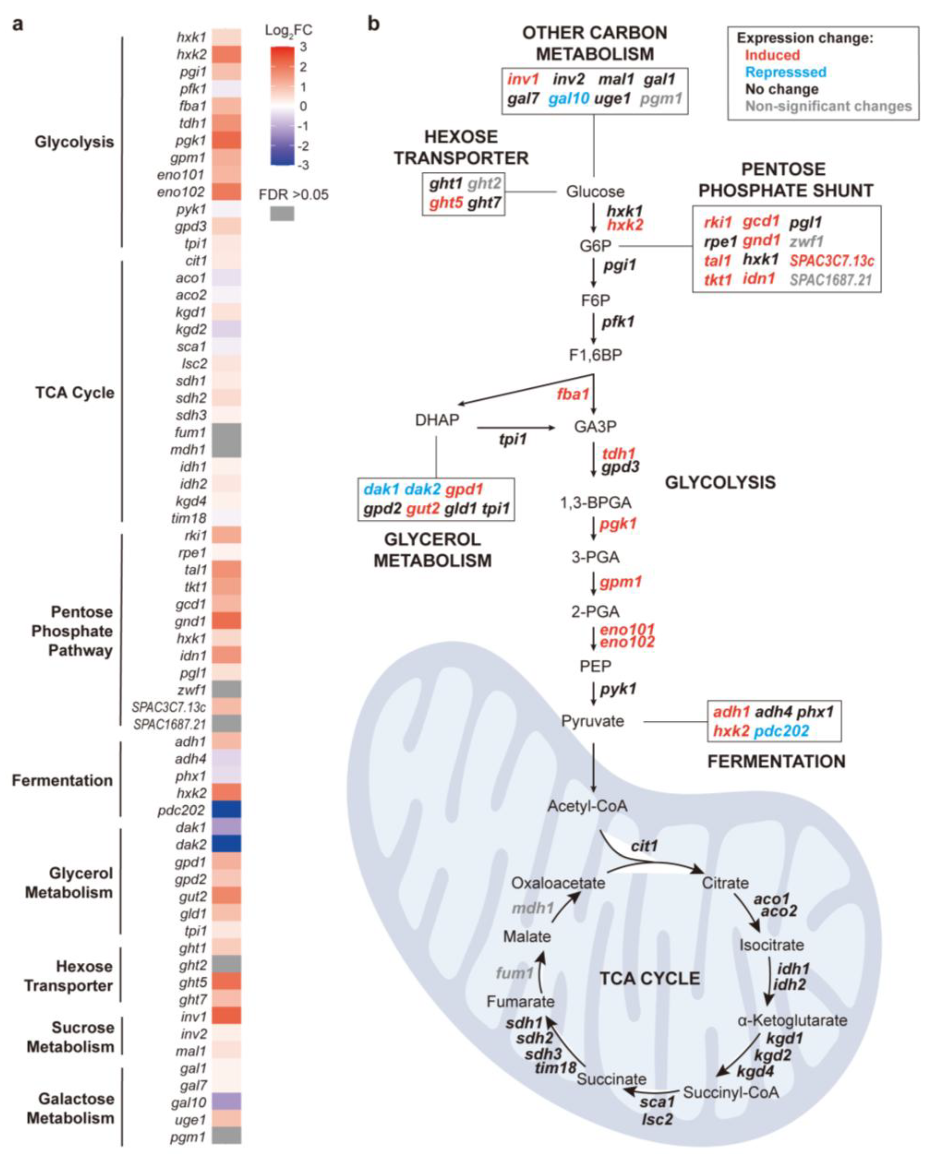 Preprints 172365 g002