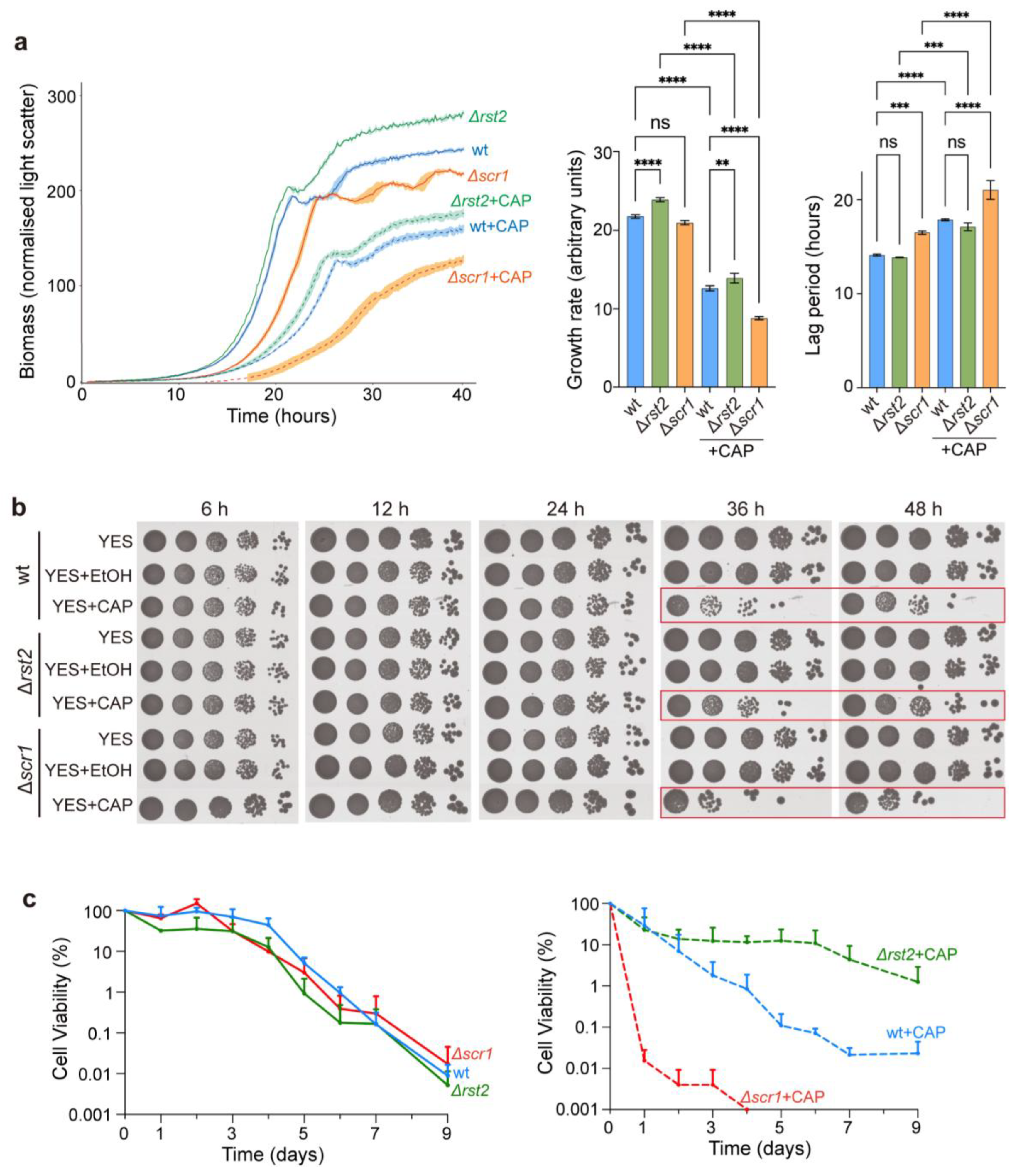 Preprints 172365 g004