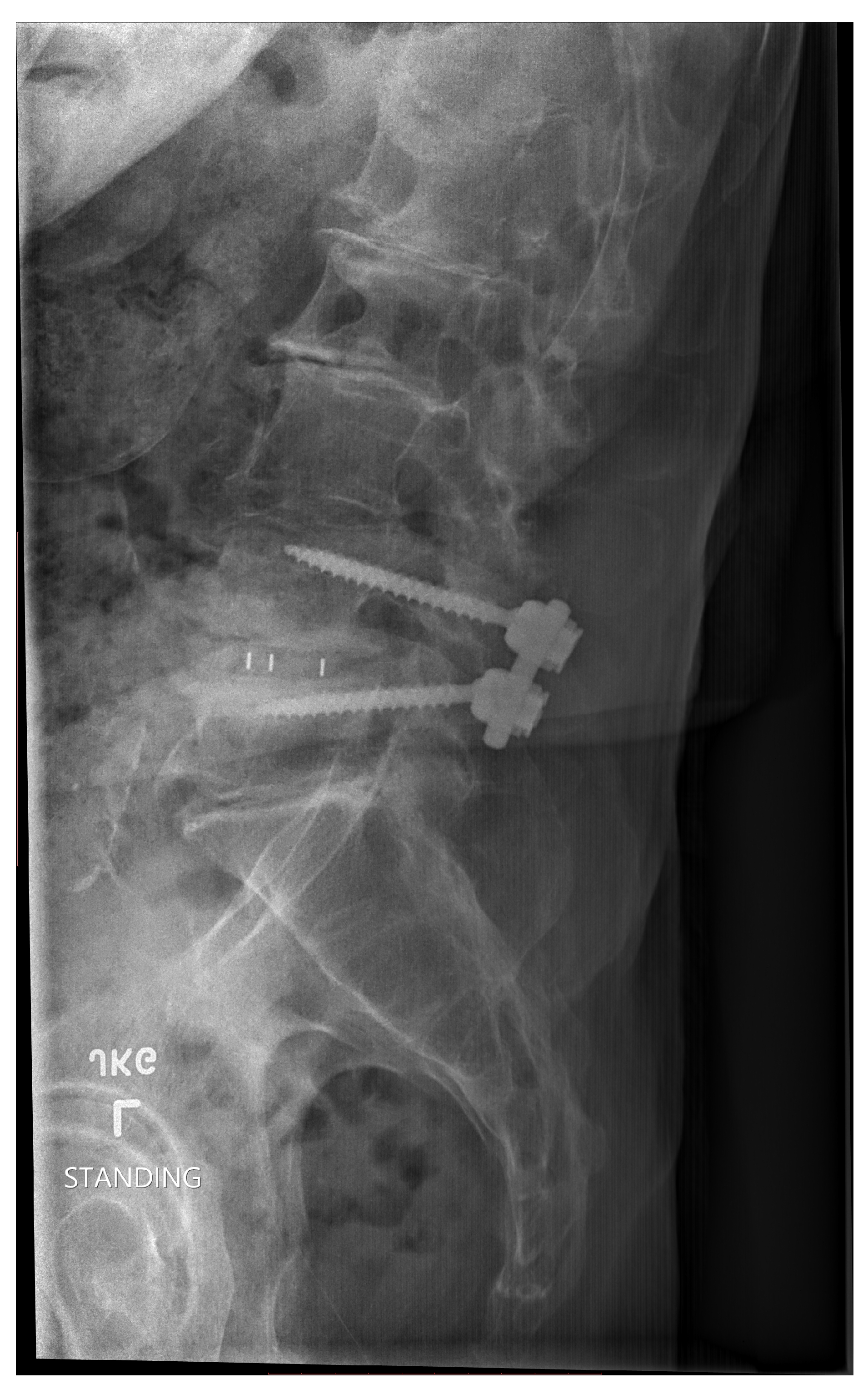 Preprints 167013 g002