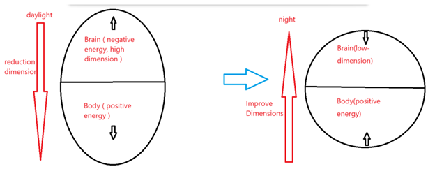Preprints 165035 i001