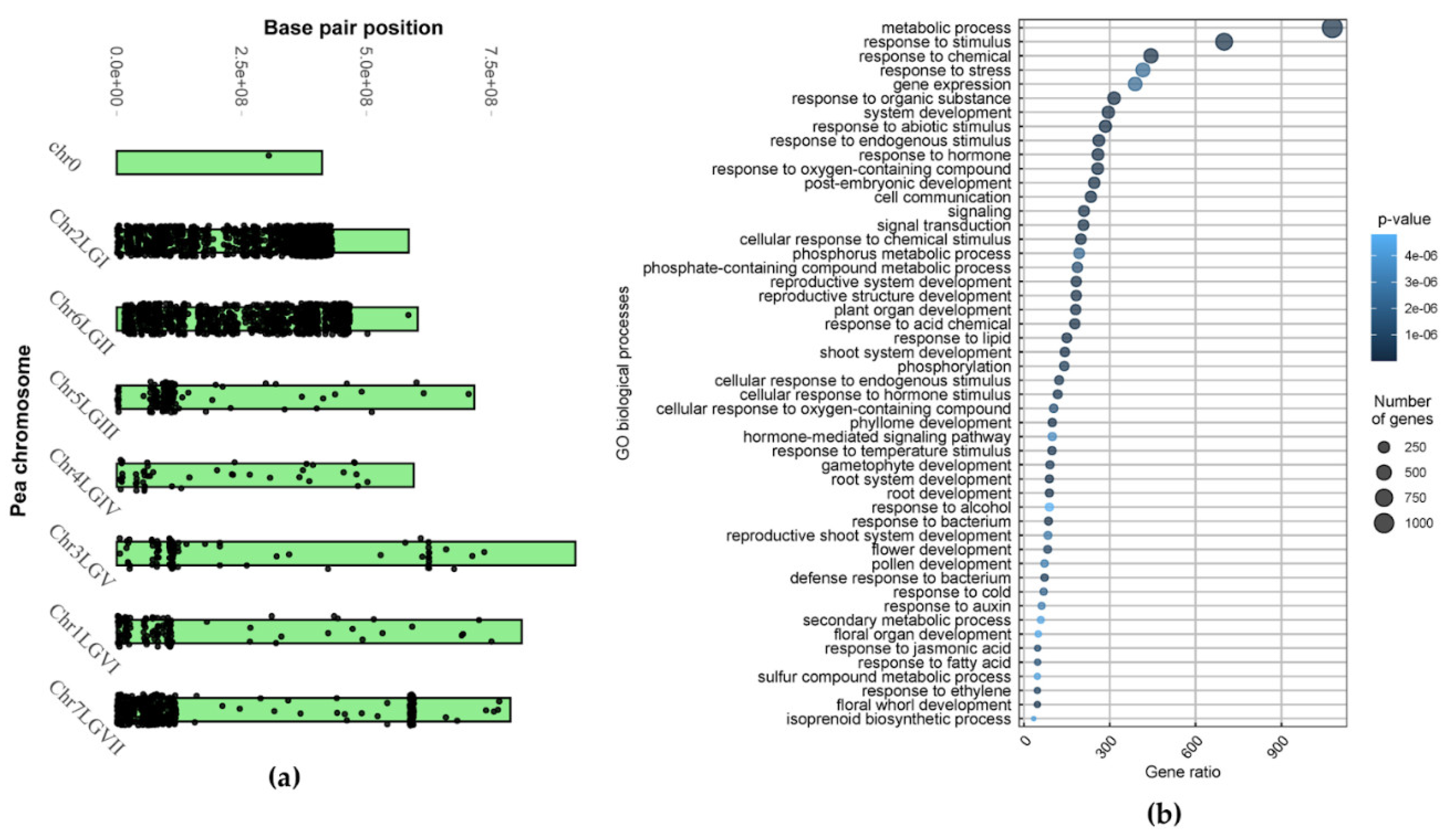 Preprints 90595 g001