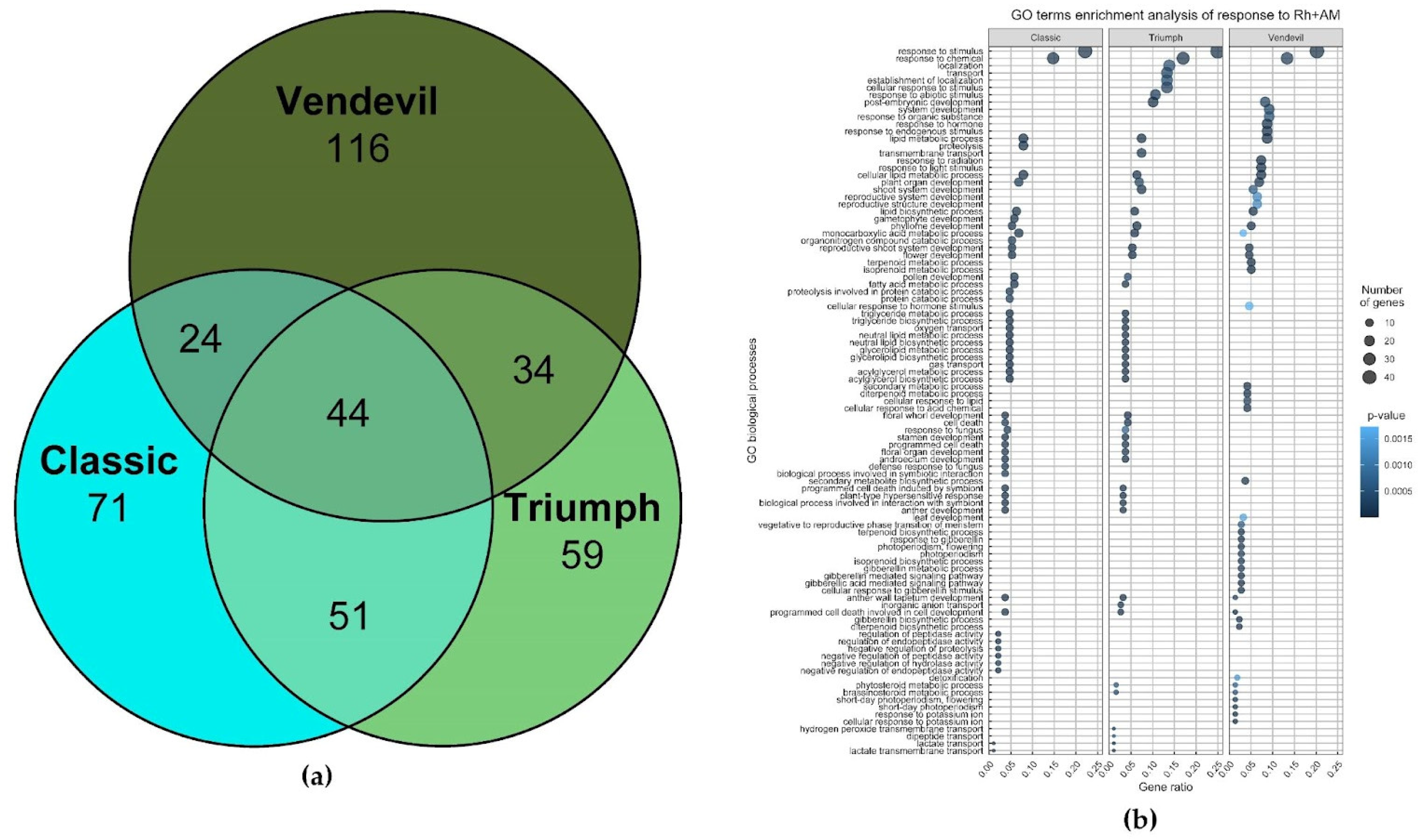 Preprints 90595 g003
