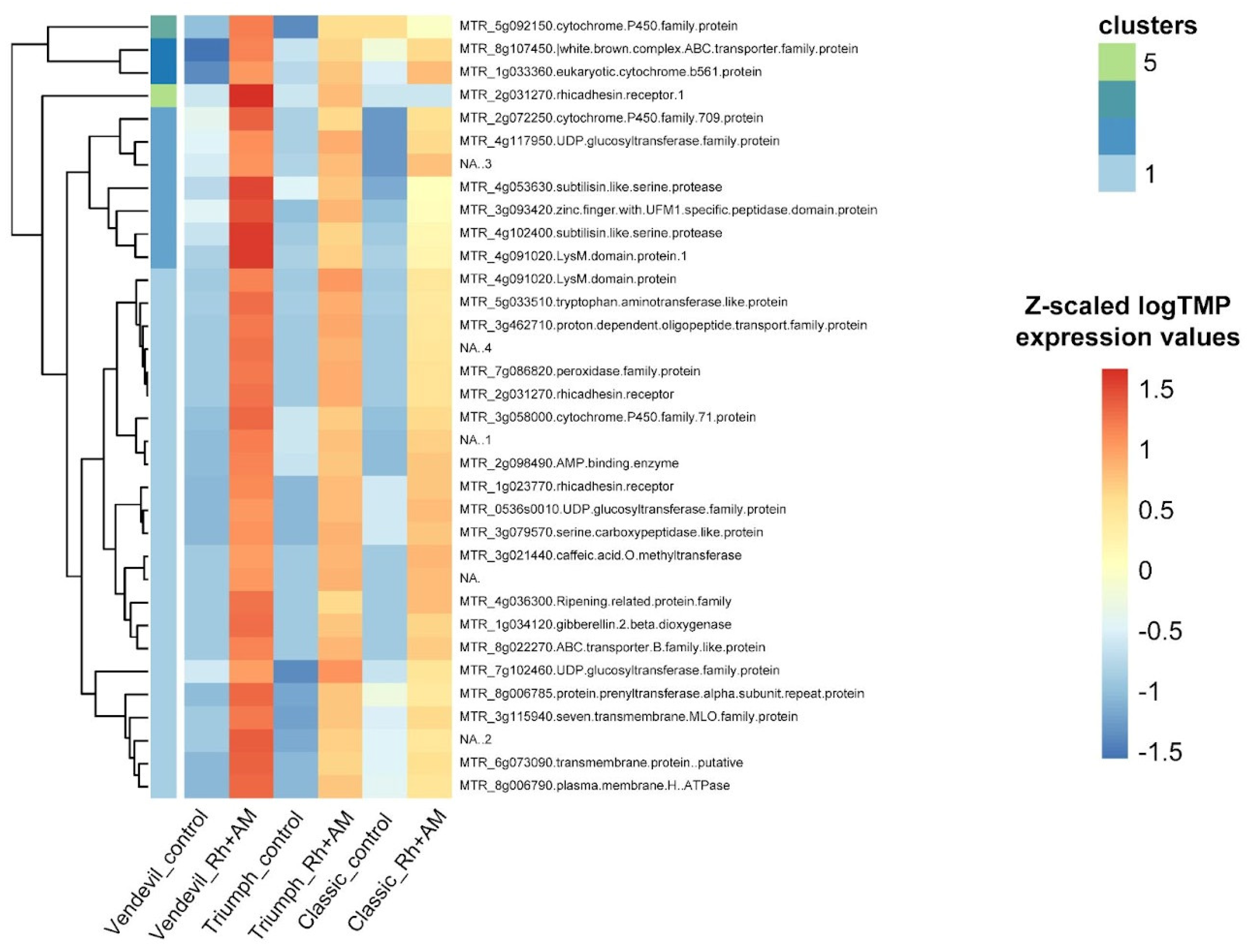 Preprints 90595 g004