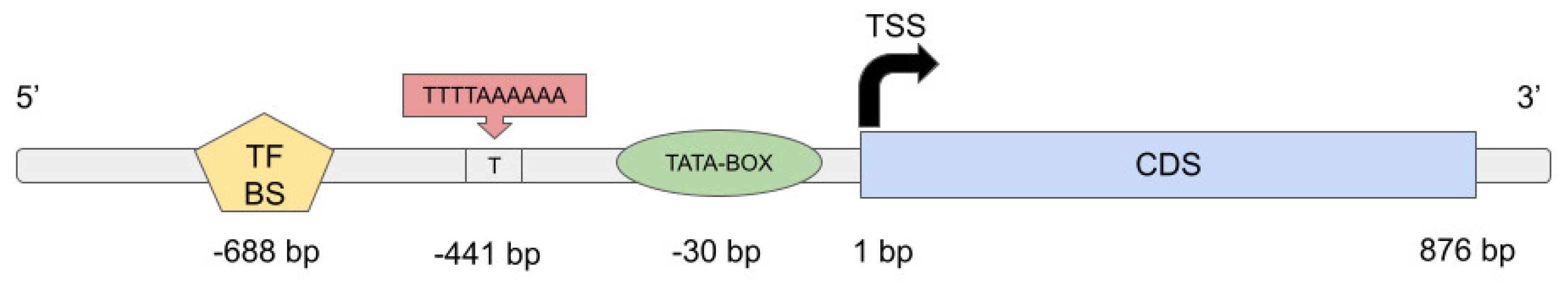 Preprints 90595 g005