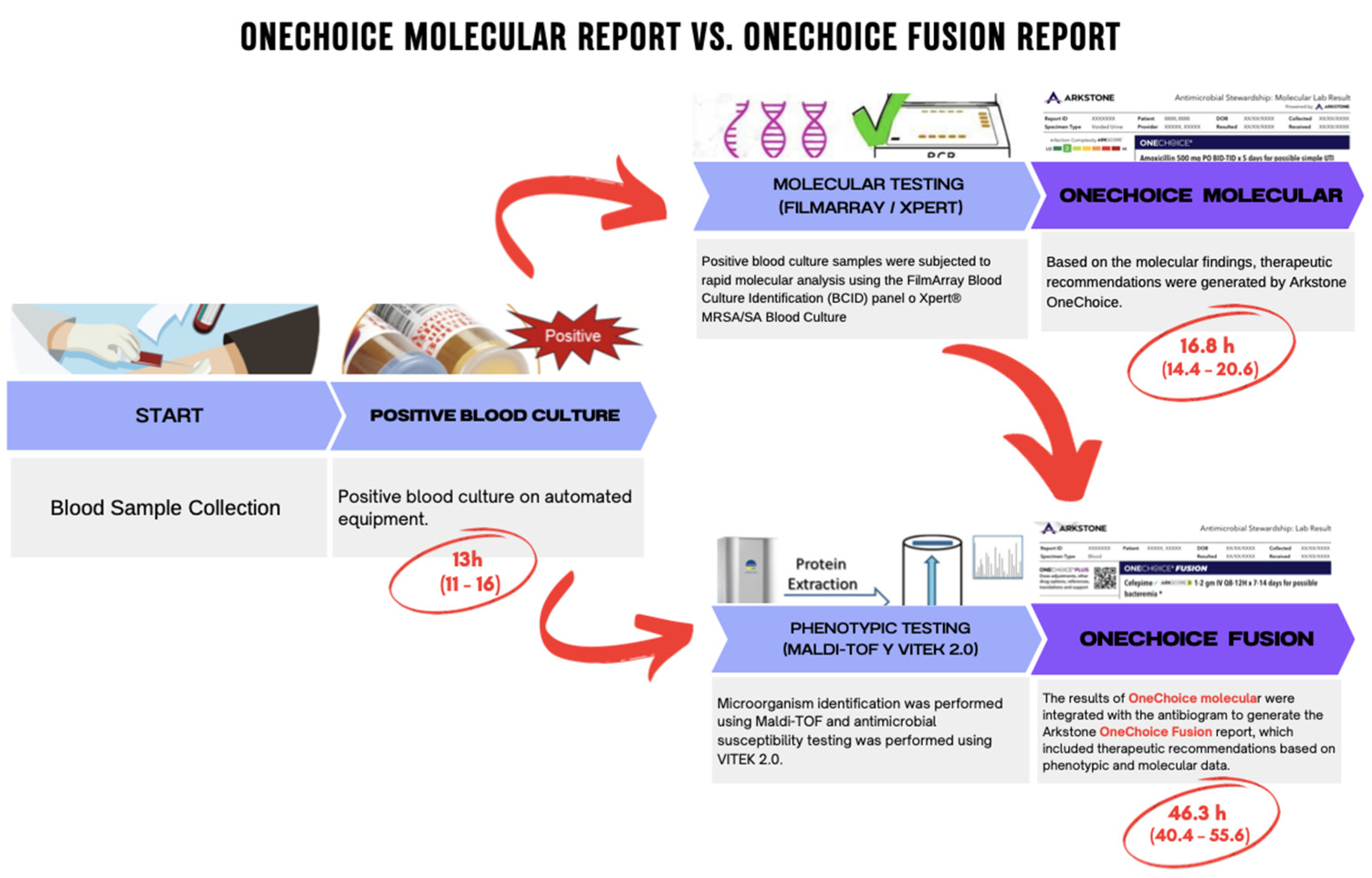 Preprints 154736 g001