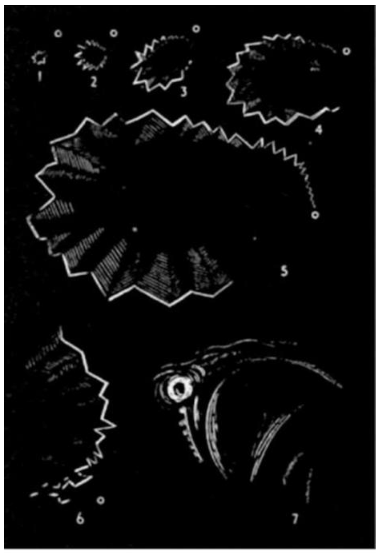 Preprints 158312 g001