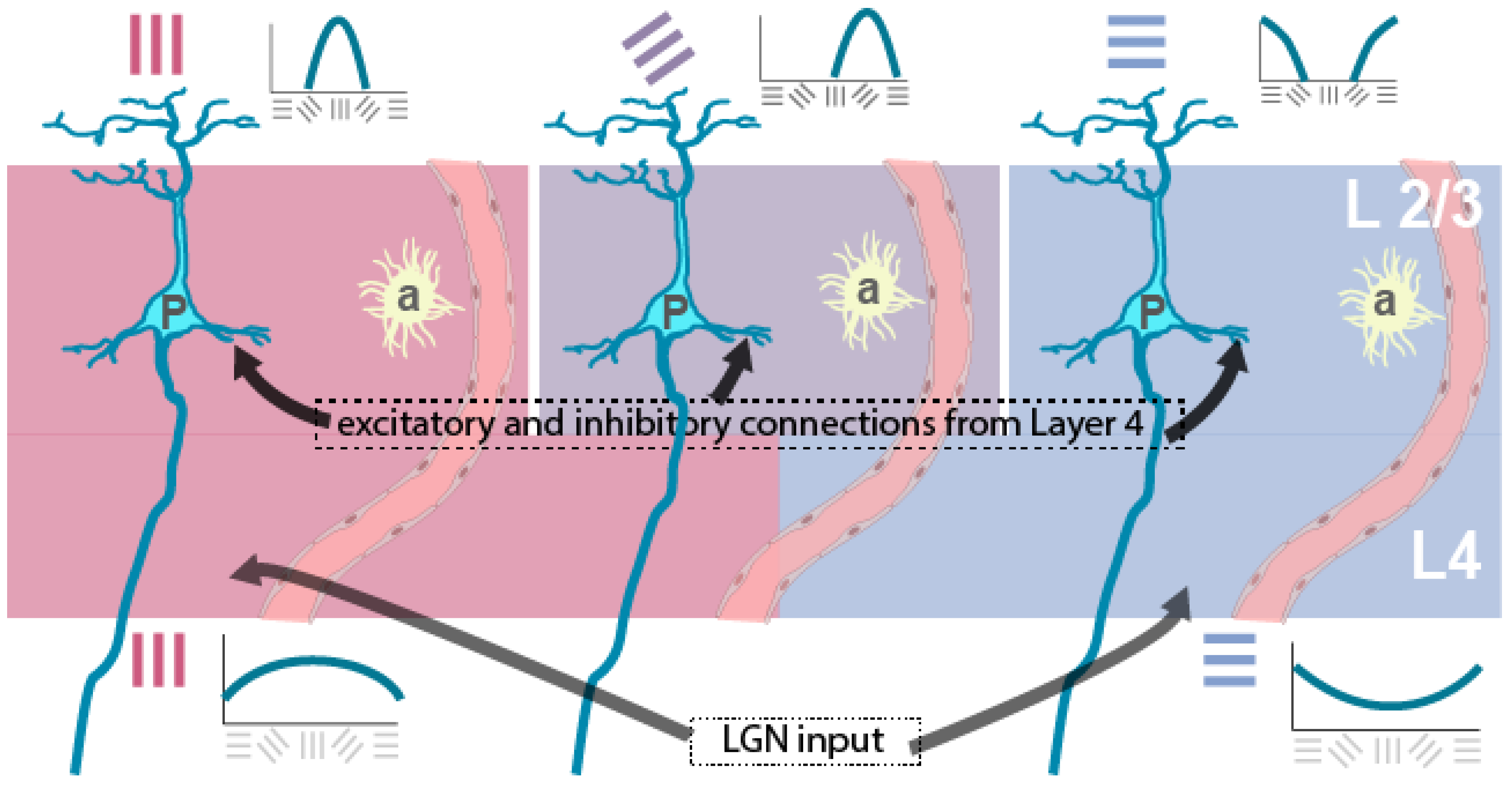 Preprints 158312 g002