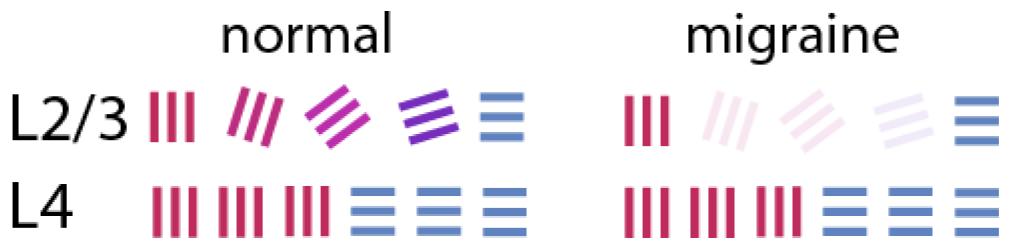 Preprints 158312 g003