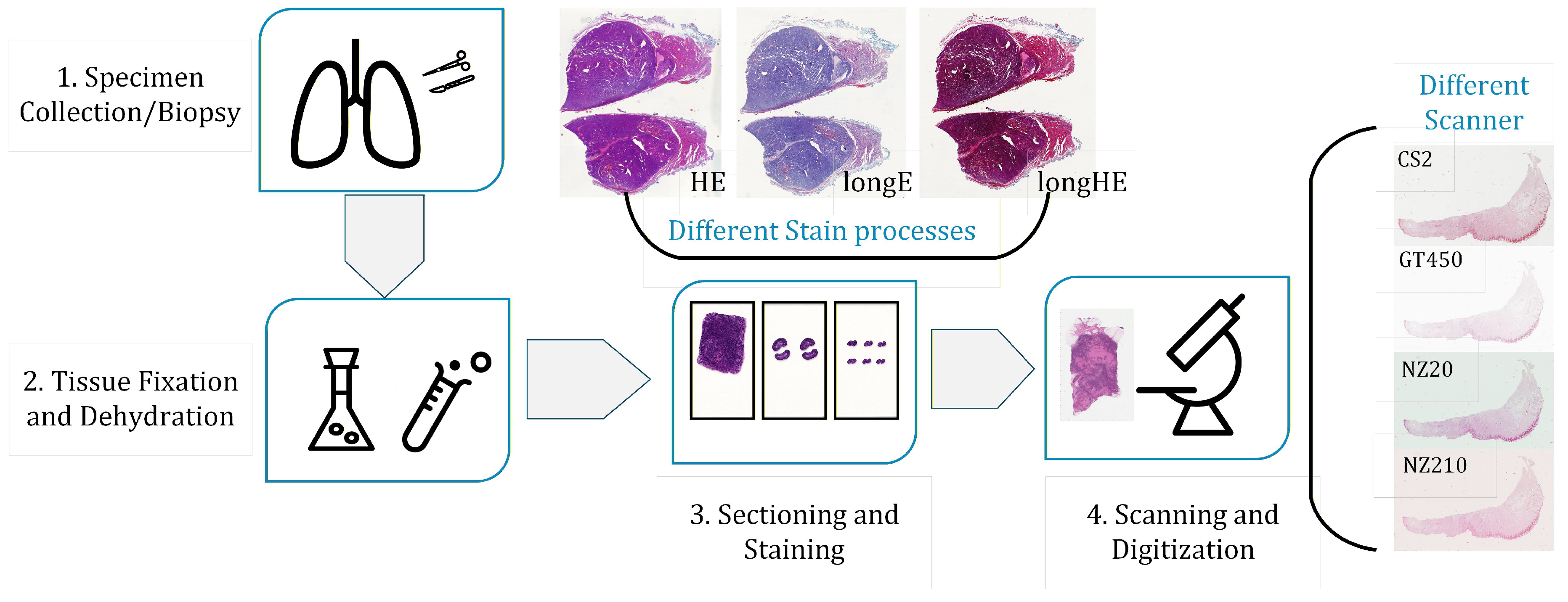 Preprints 199113 g001