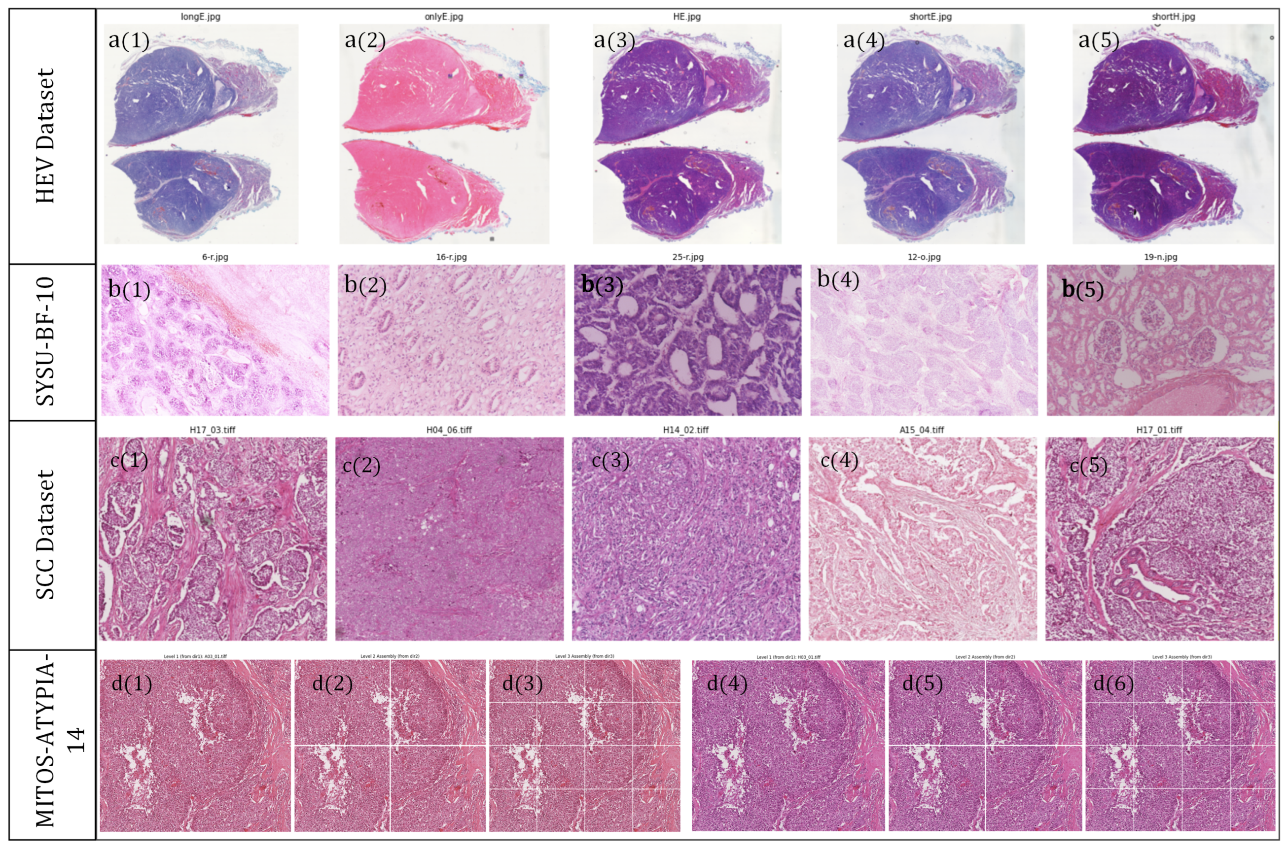 Preprints 199113 g003