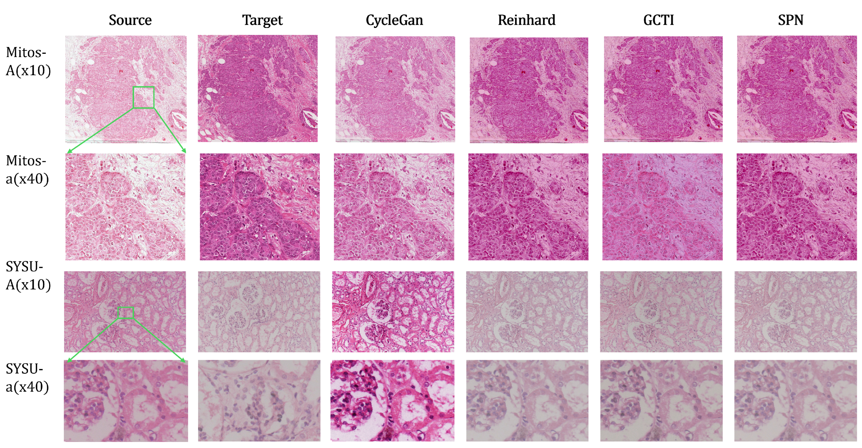 Preprints 199113 g004