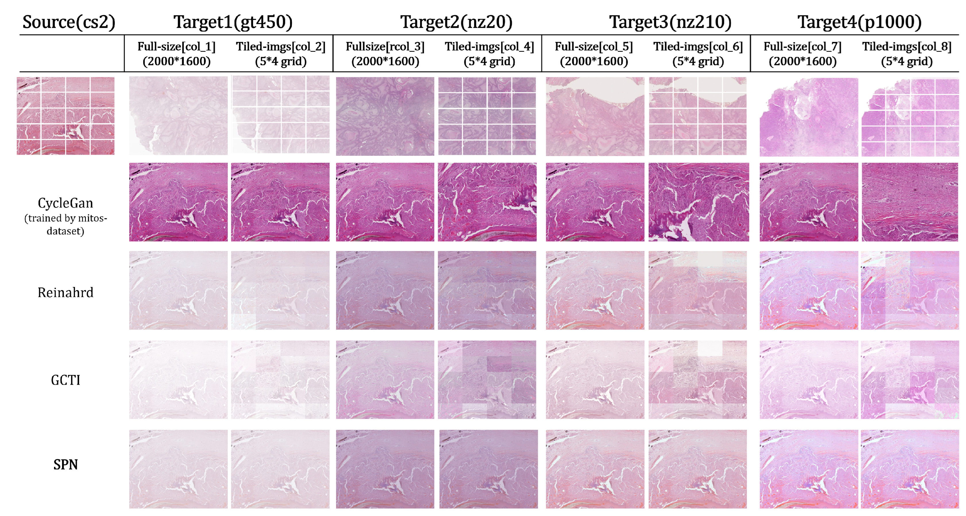 Preprints 199113 g005