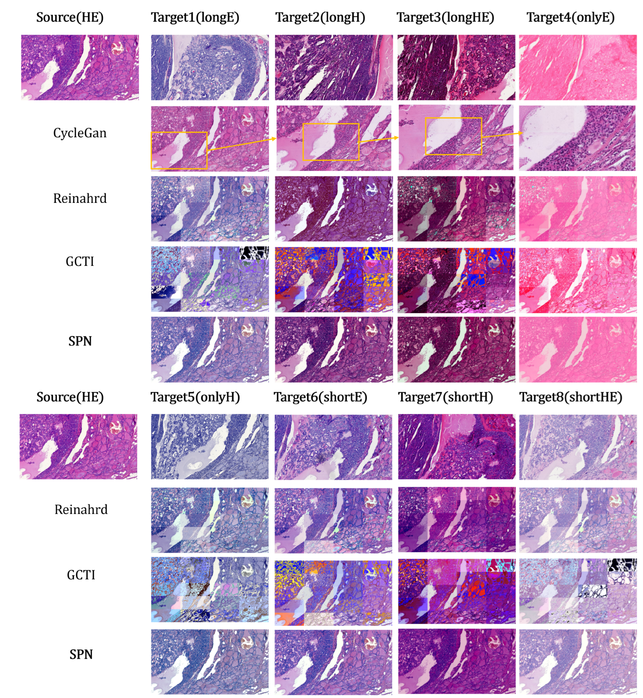 Preprints 199113 g006