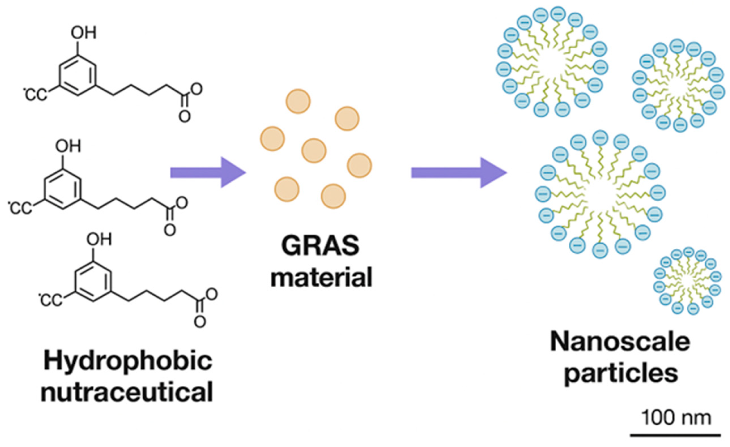 Preprints 188236 g001
