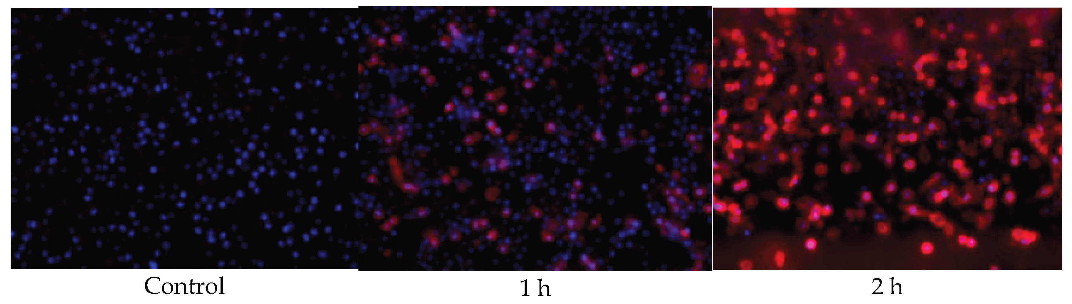 Preprints 188236 g004