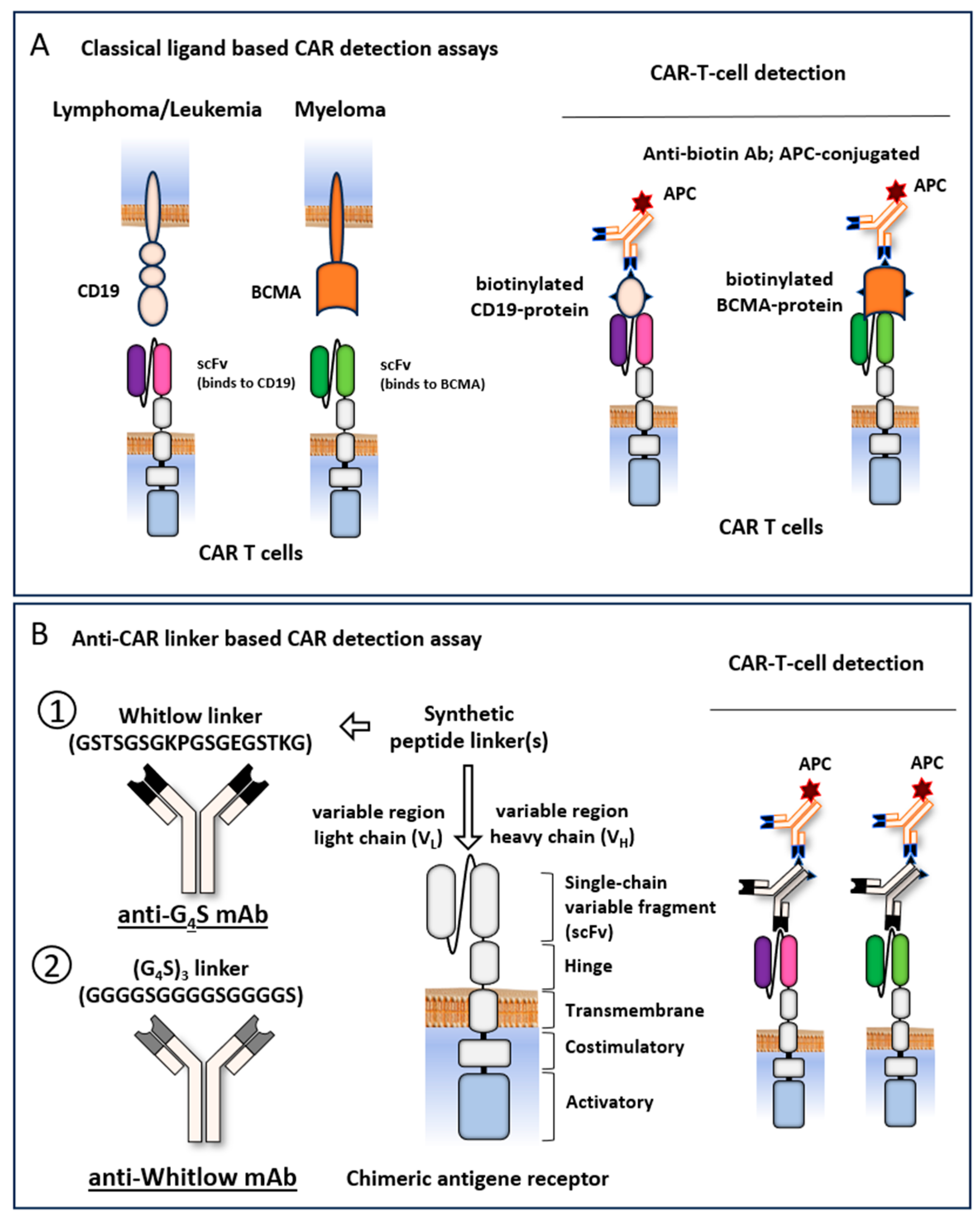 Preprints 111538 g001