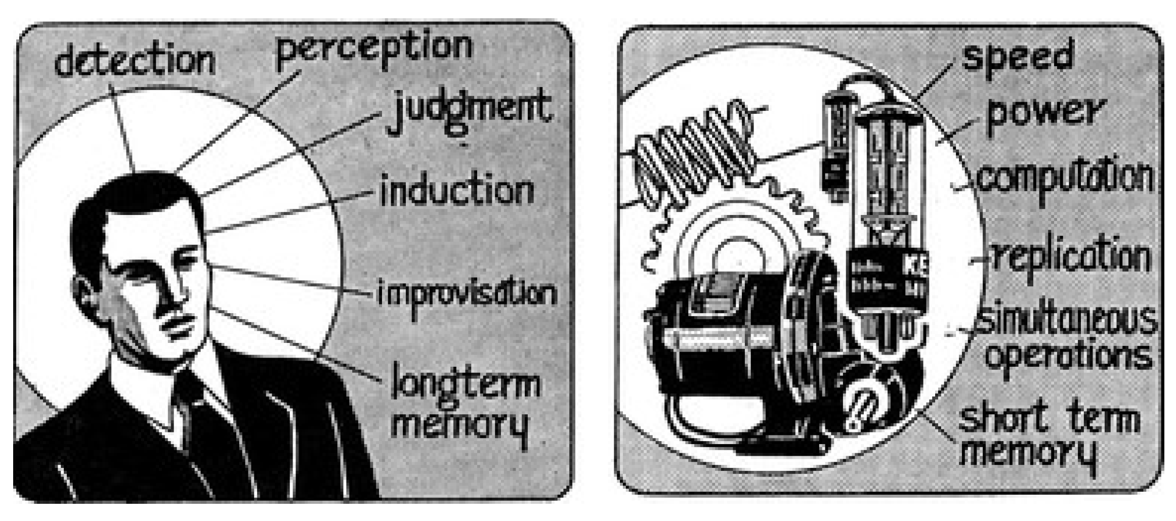Preprints 146020 g003