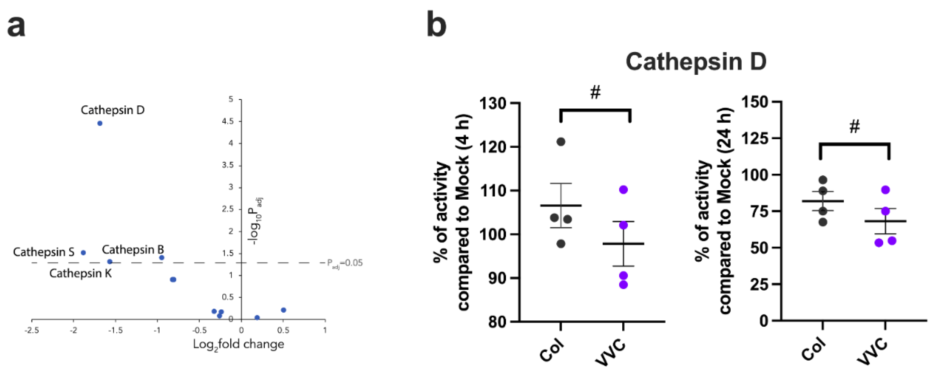 Preprints 162952 g004
