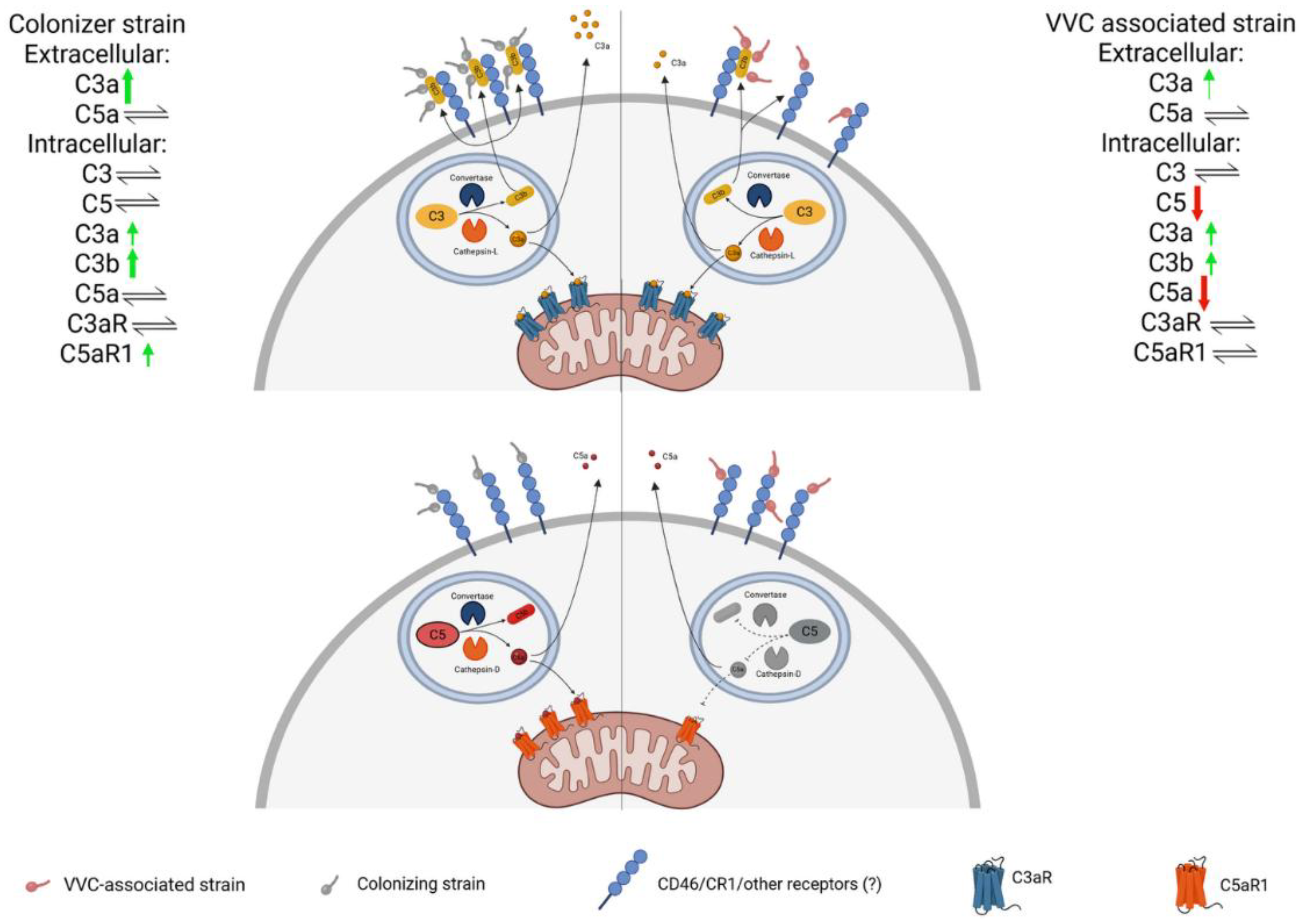 Preprints 162952 g006