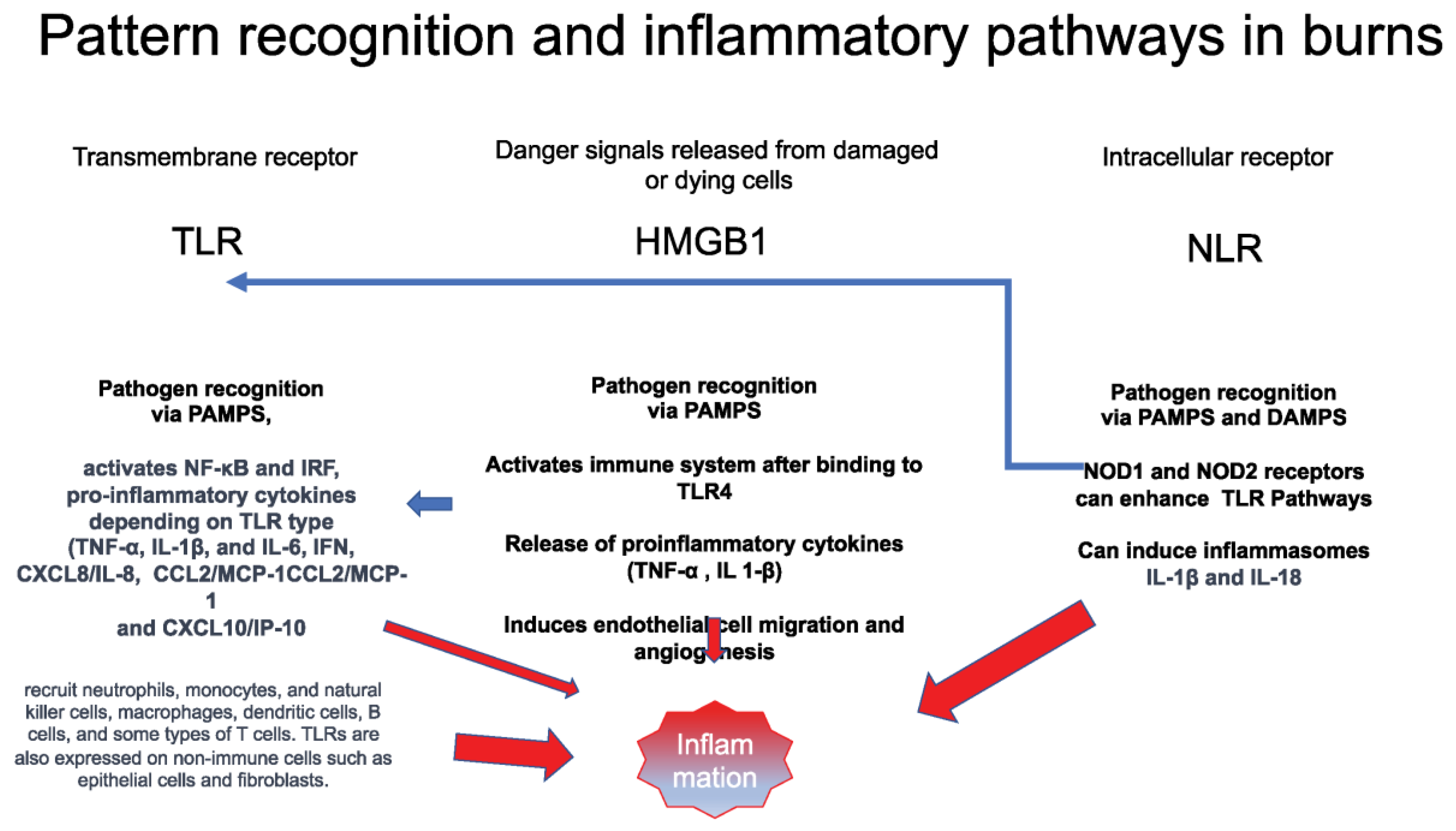 Preprints 76659 g002