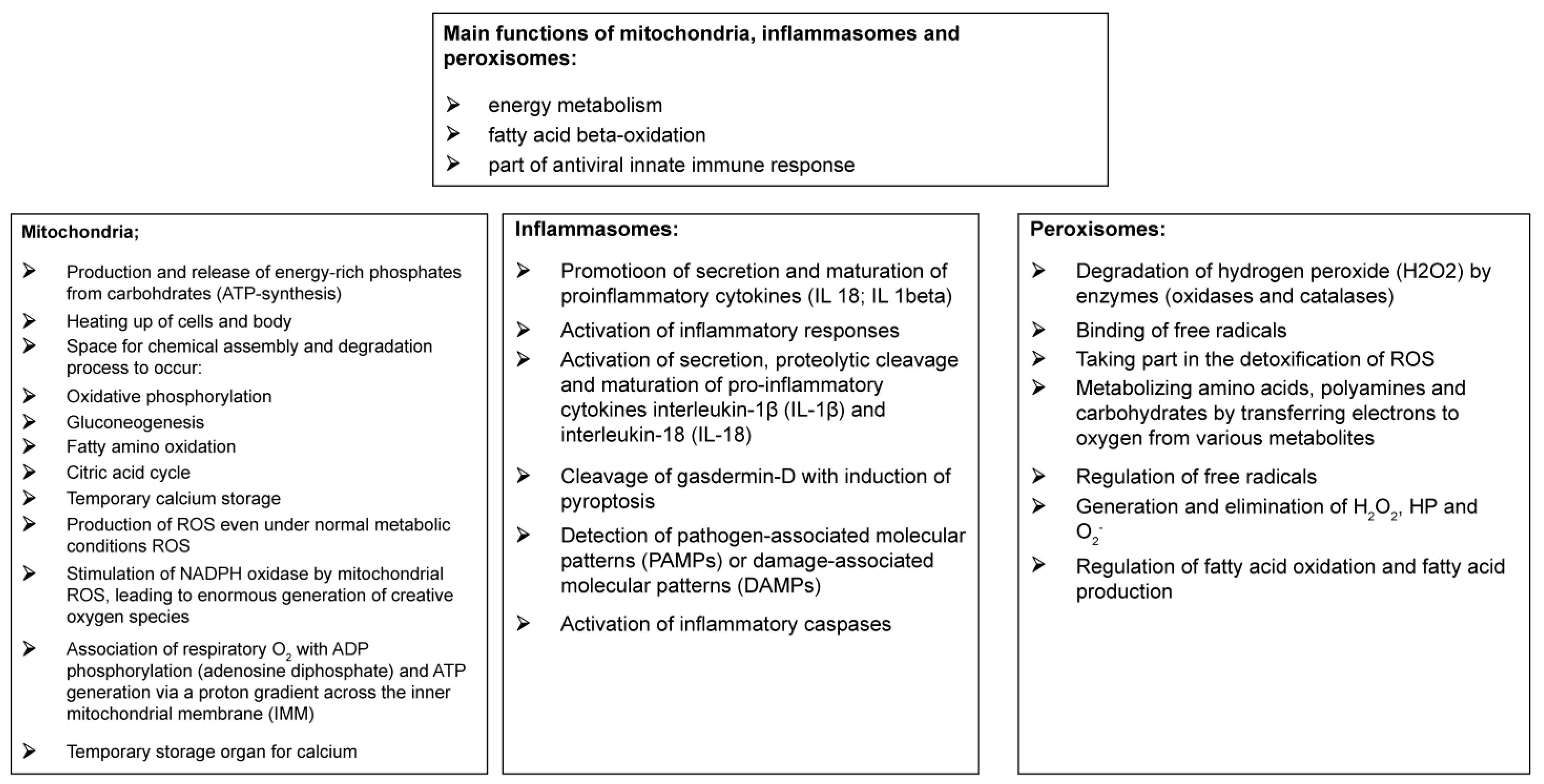 Preprints 76659 g003
