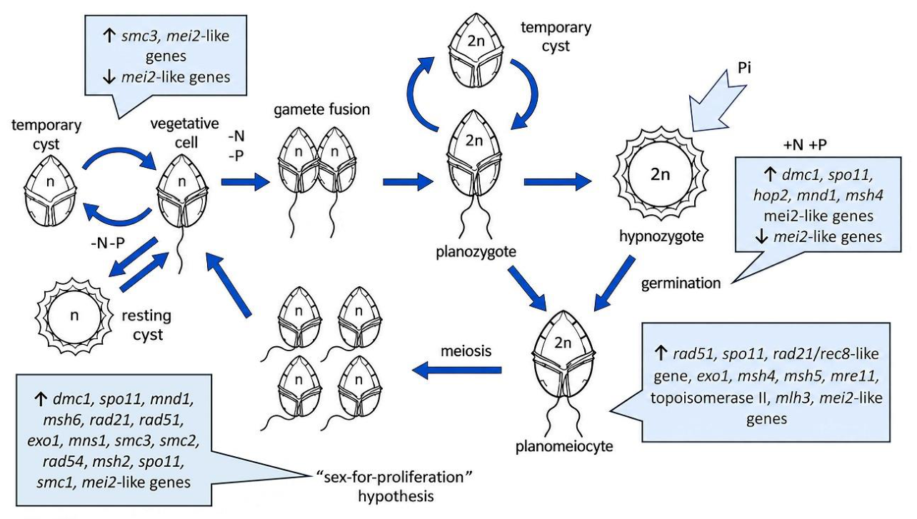 Preprints 231079 g002