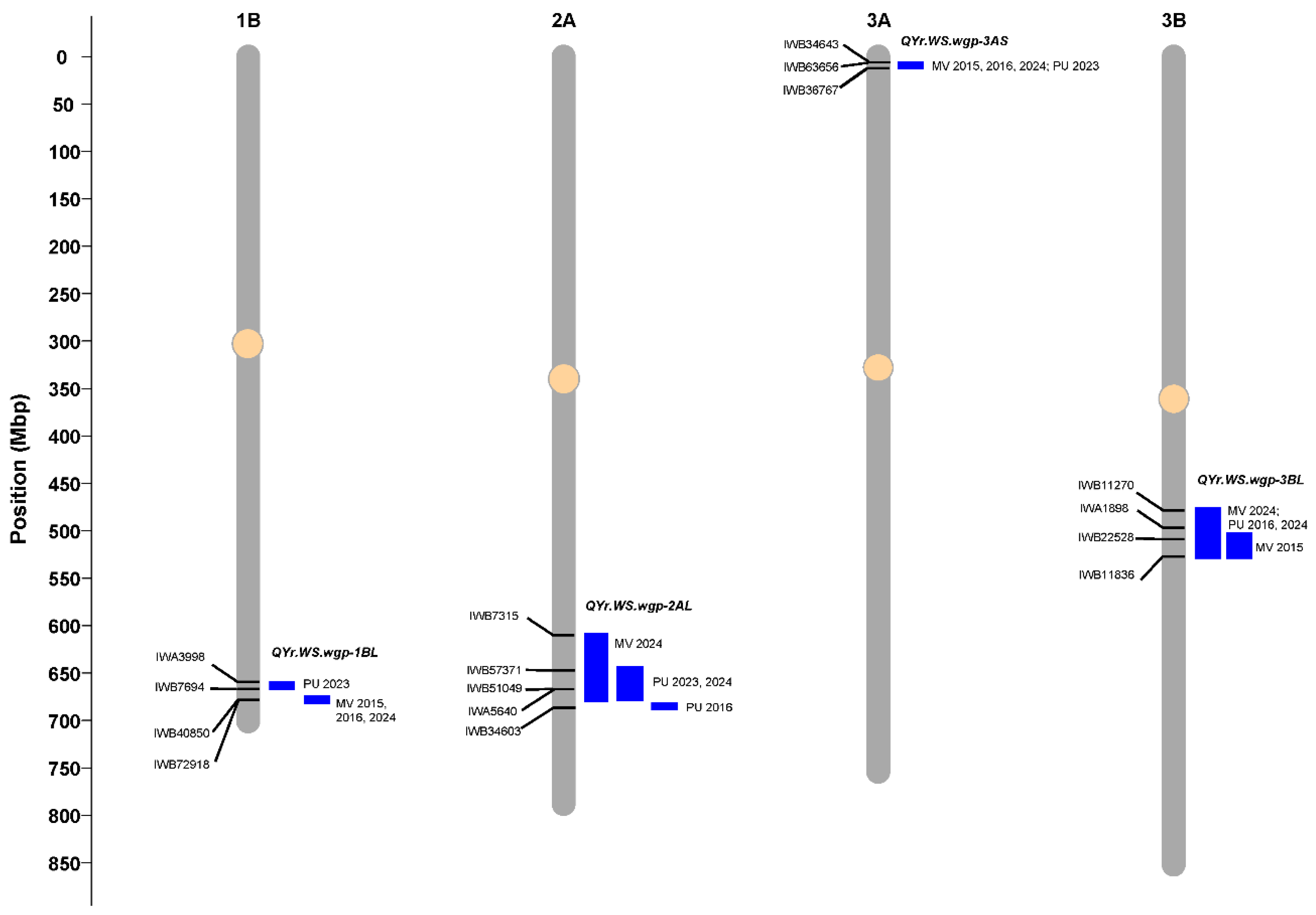 Preprints 157681 g004