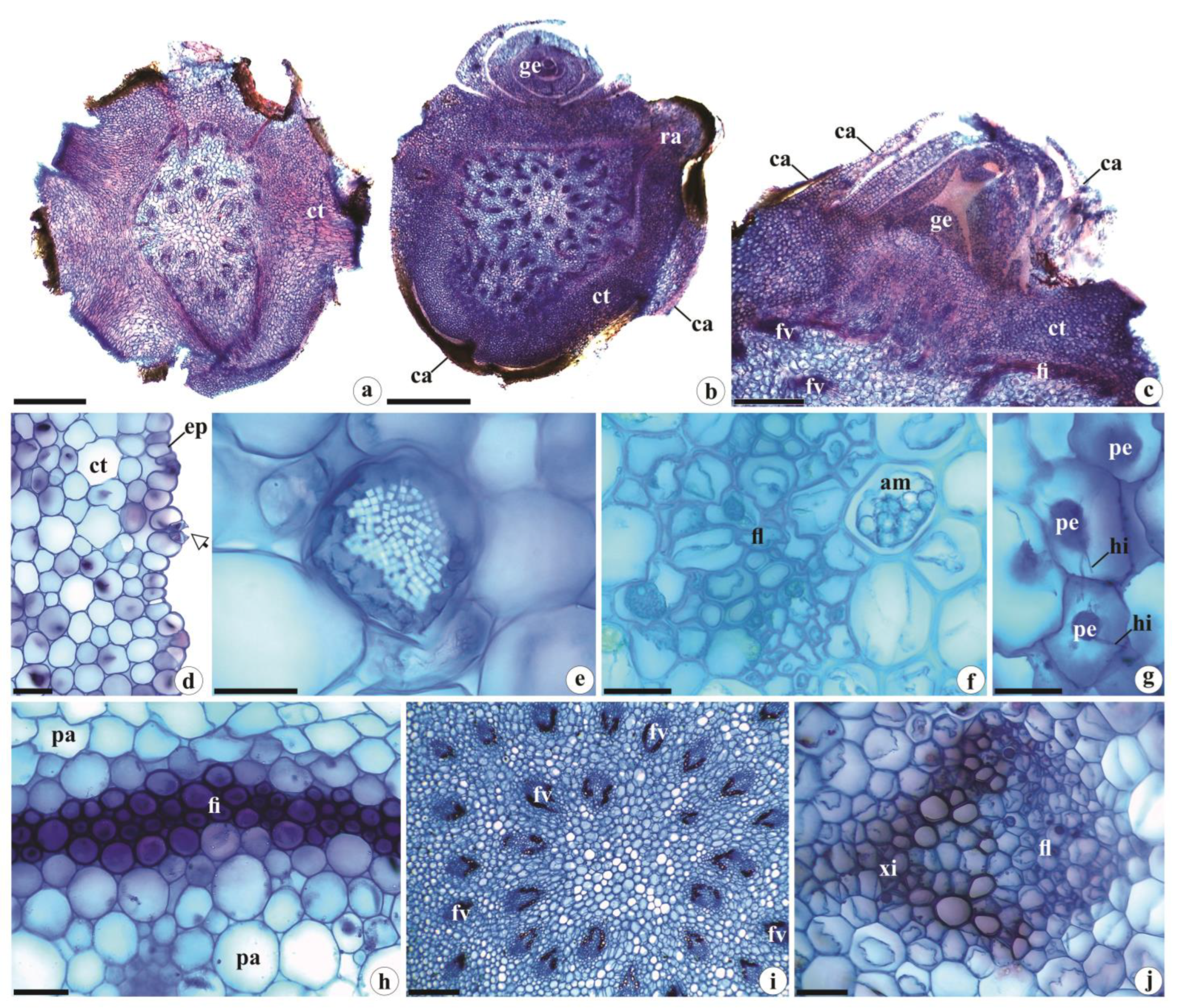 Preprints 75747 g003