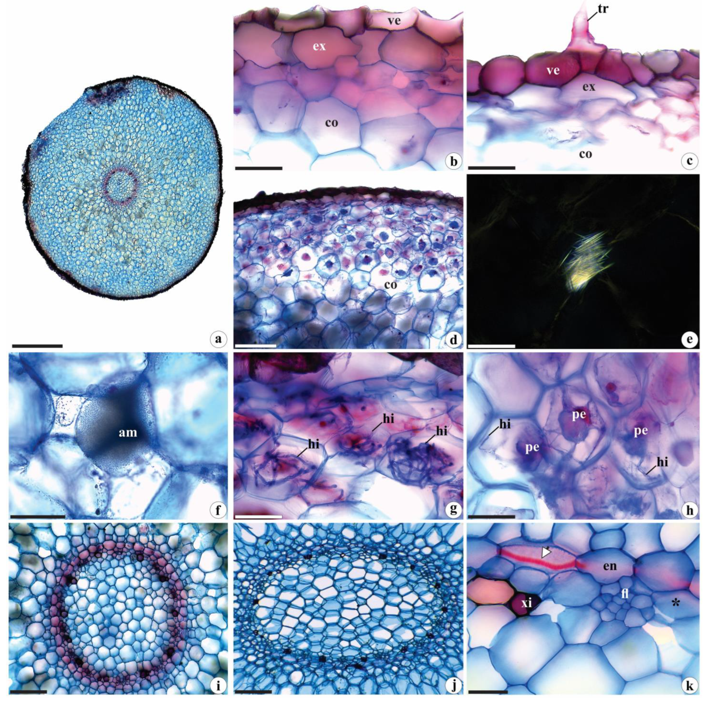 Preprints 75747 g004