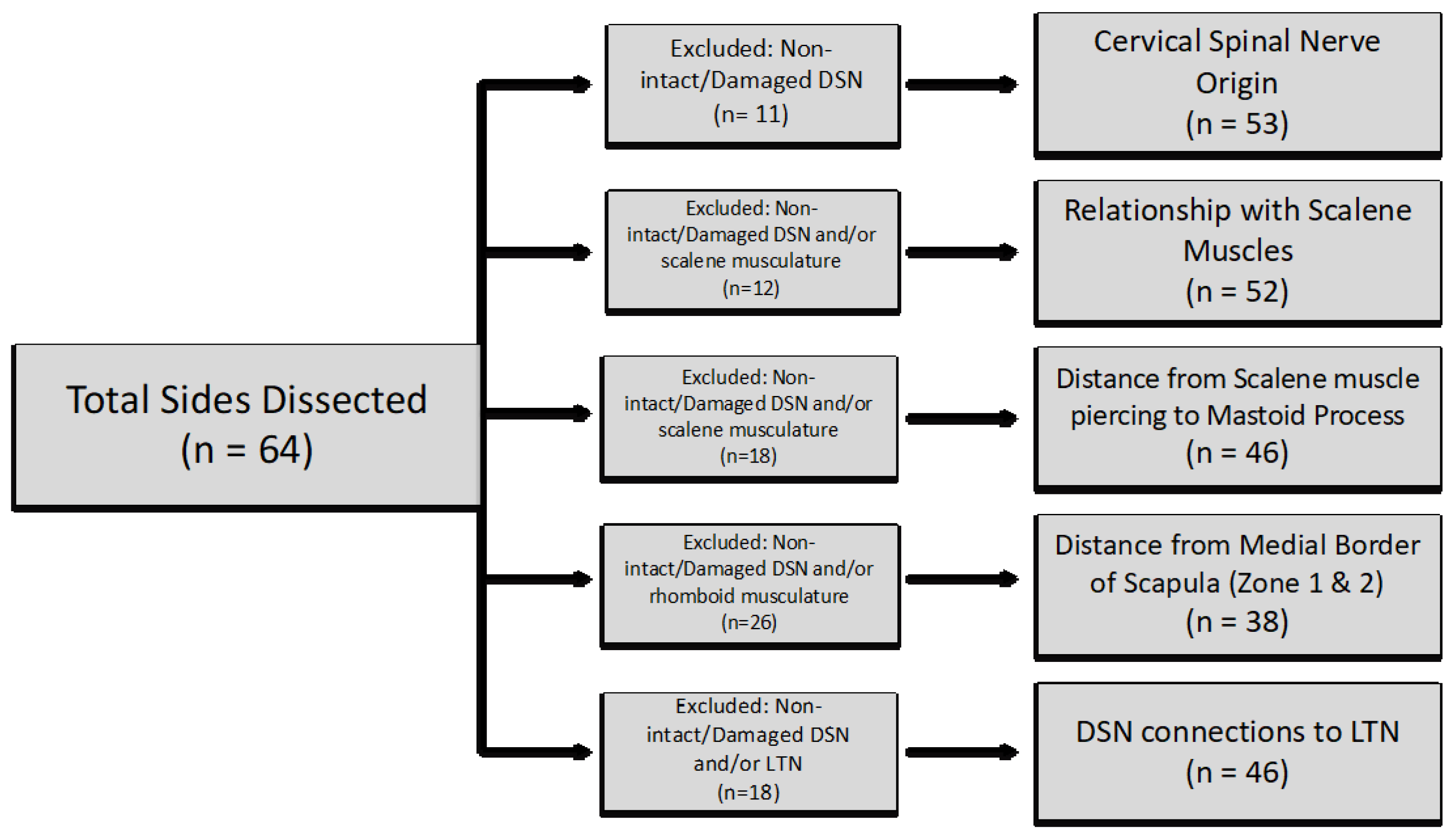 Preprints 151596 g002
