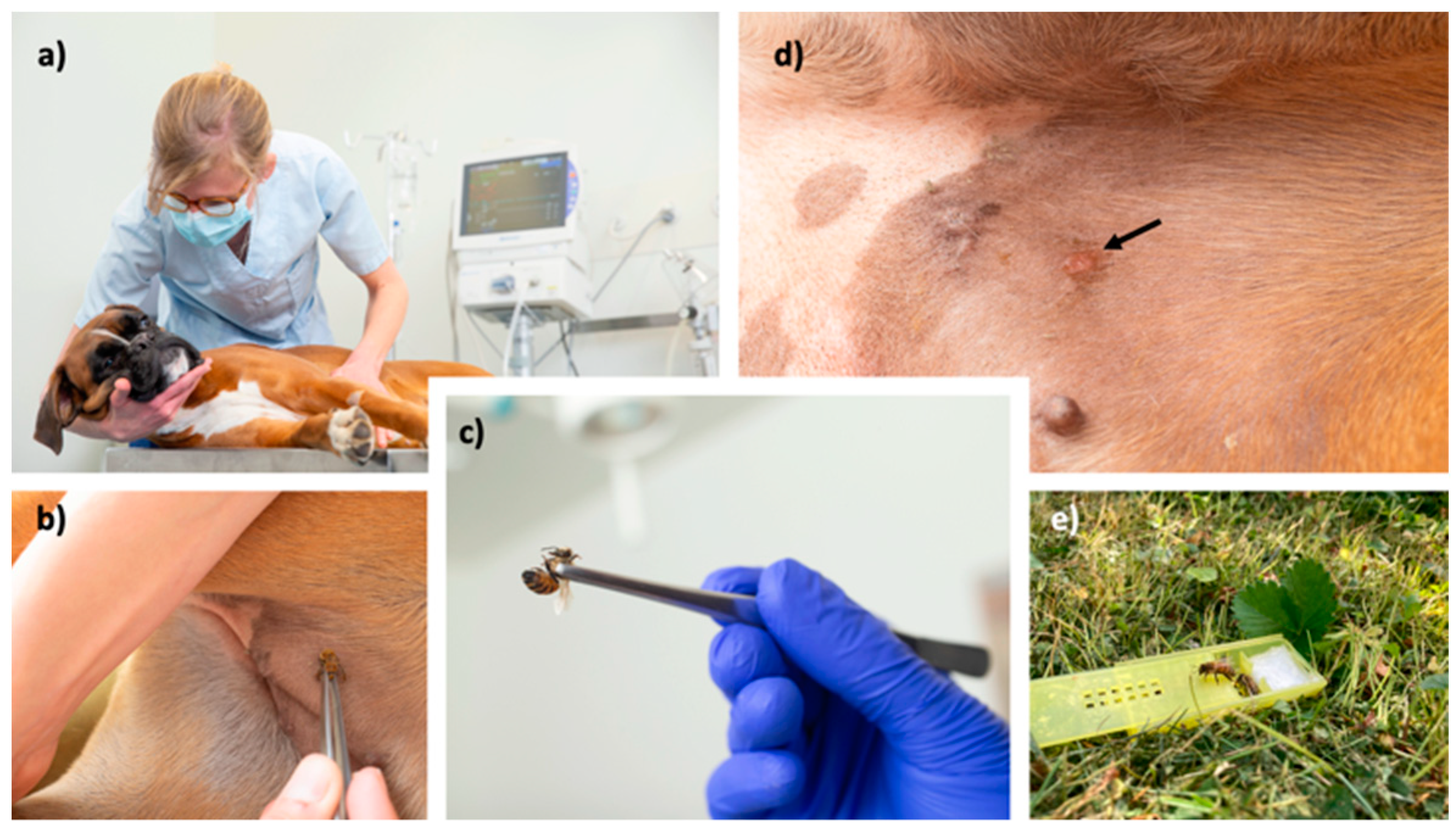 Preprints 83347 g002